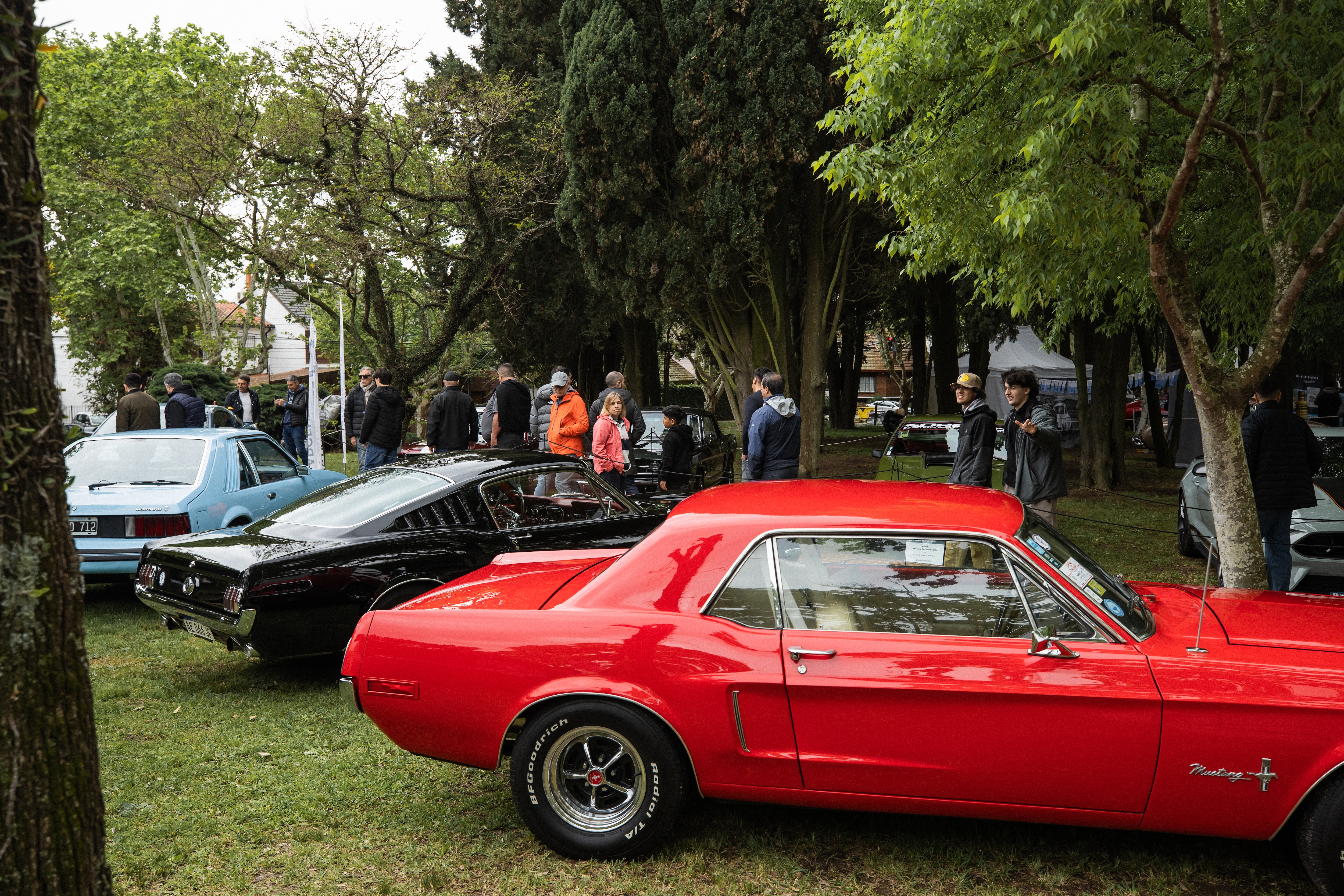 Diez años de Mustang en Argentina y una pasión que no para de crecer