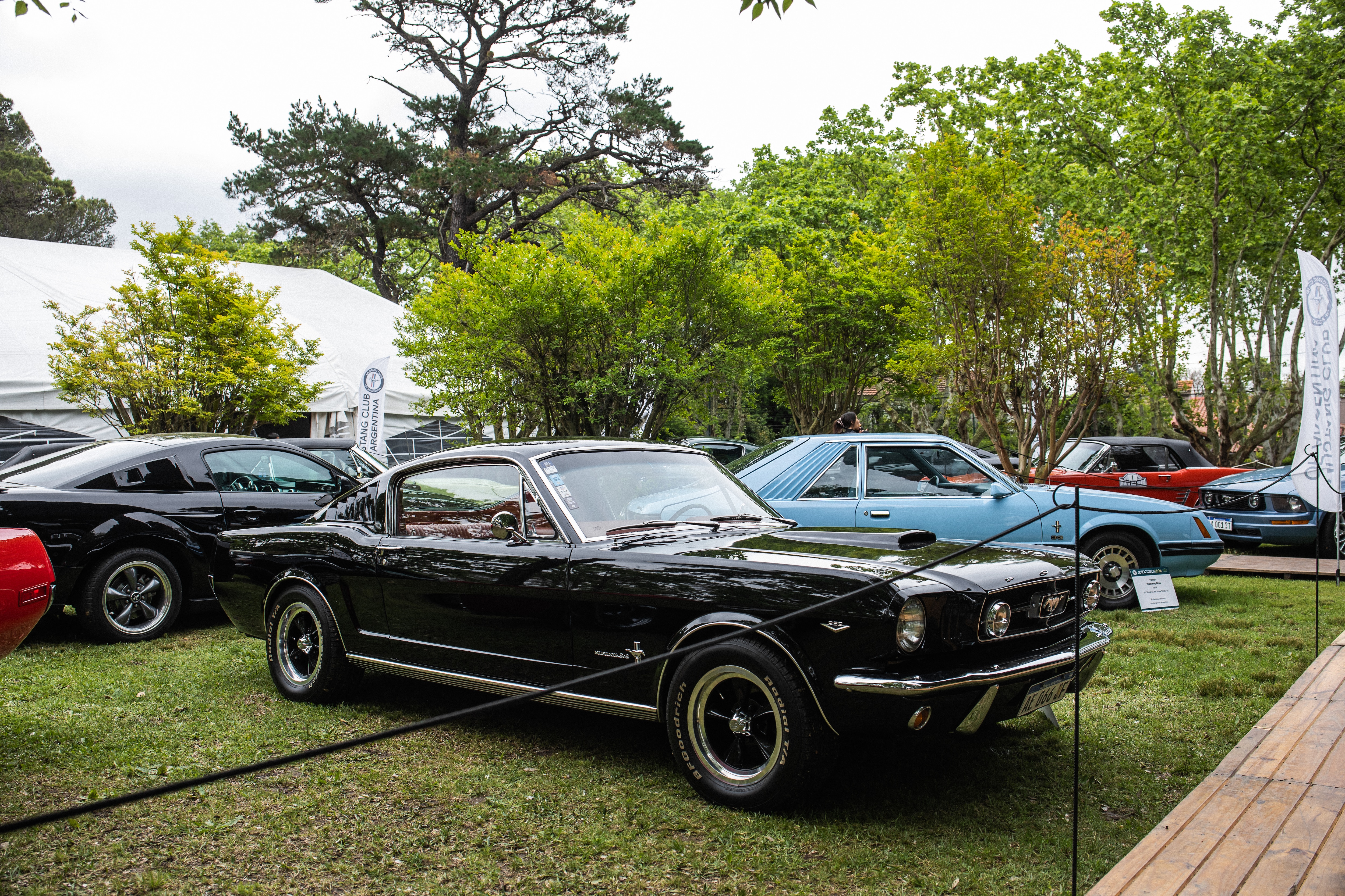 Diez años de Mustang en Argentina y una pasión que no para de crecer 