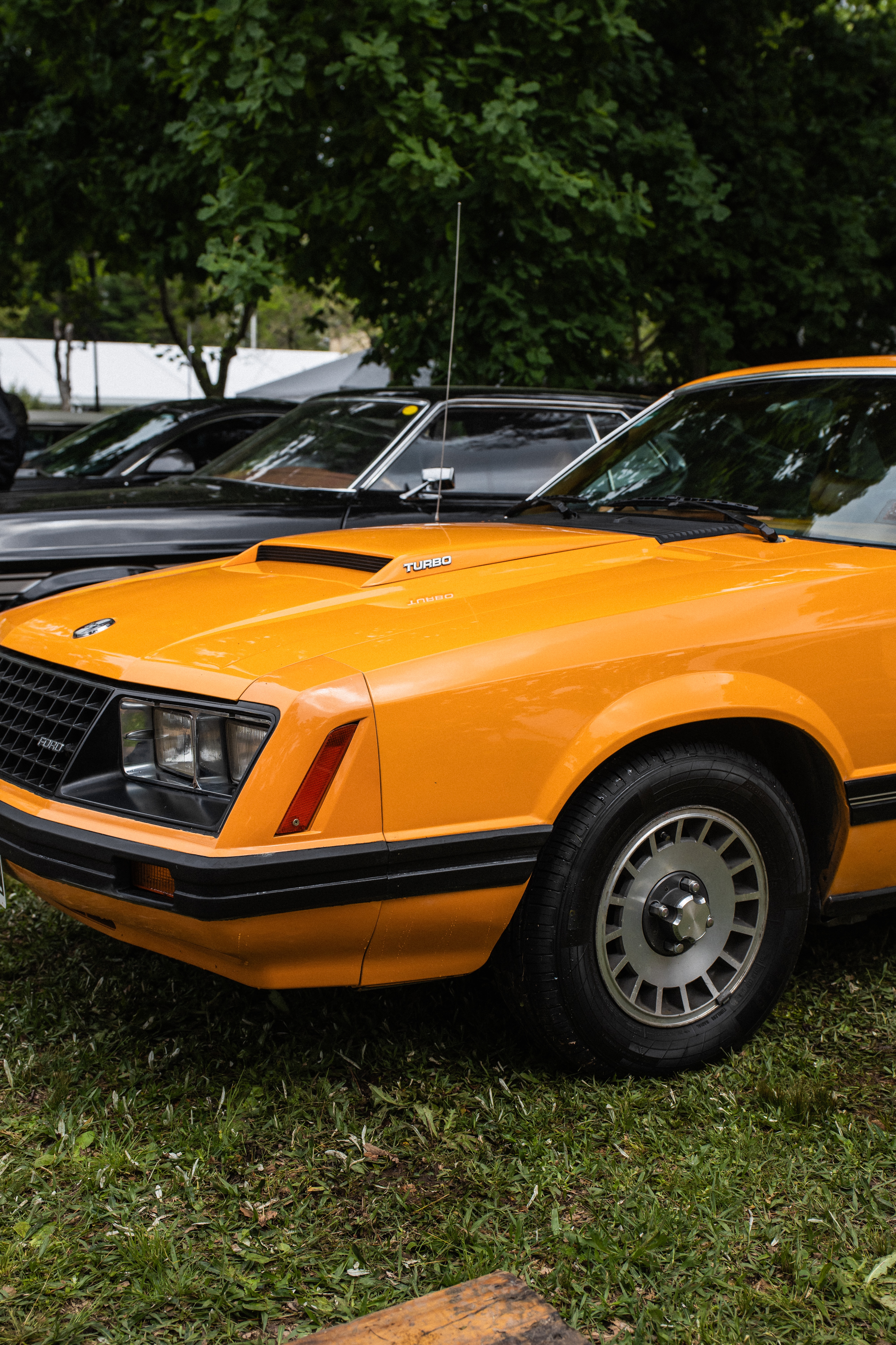 Diez años de Mustang en Argentina y una pasión que no para de crecer
