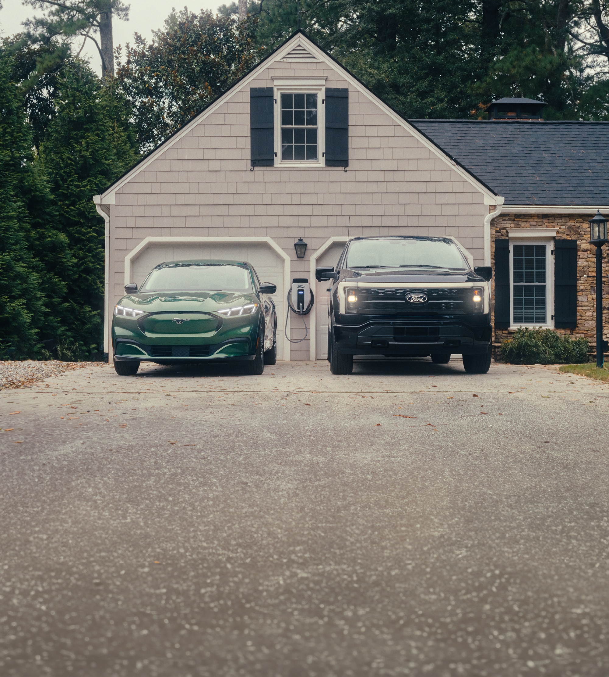 Mustang Mach-E and F-150 Lightning