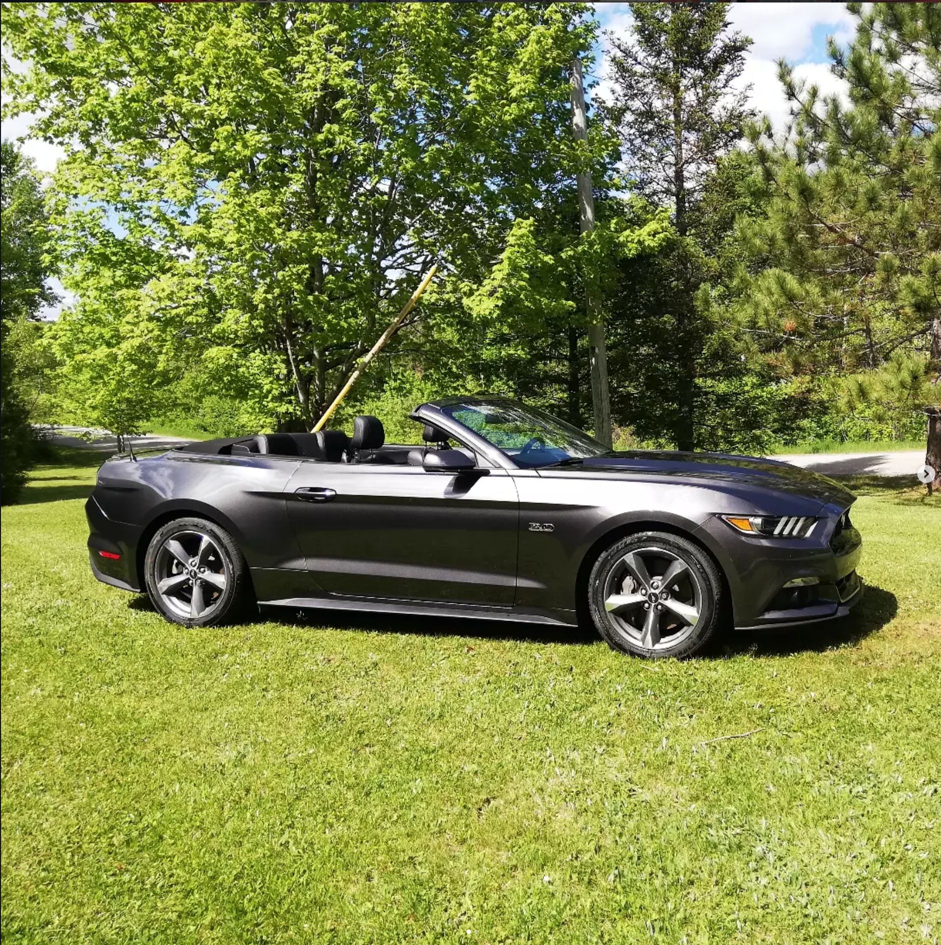 Micah Smet’s “Dadstang”, Calgary, AB
