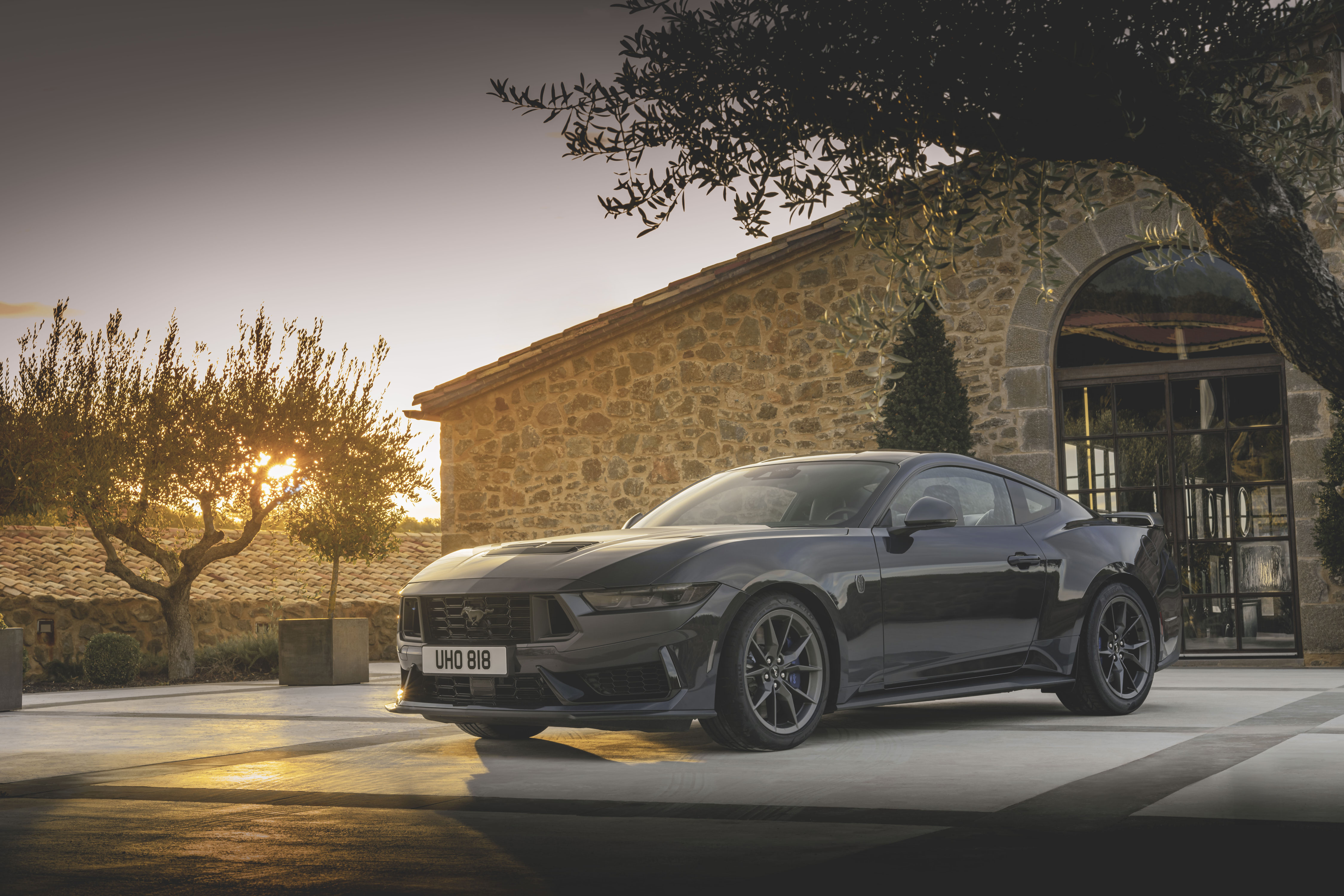 black Mustang at sunset in rustic surroundings