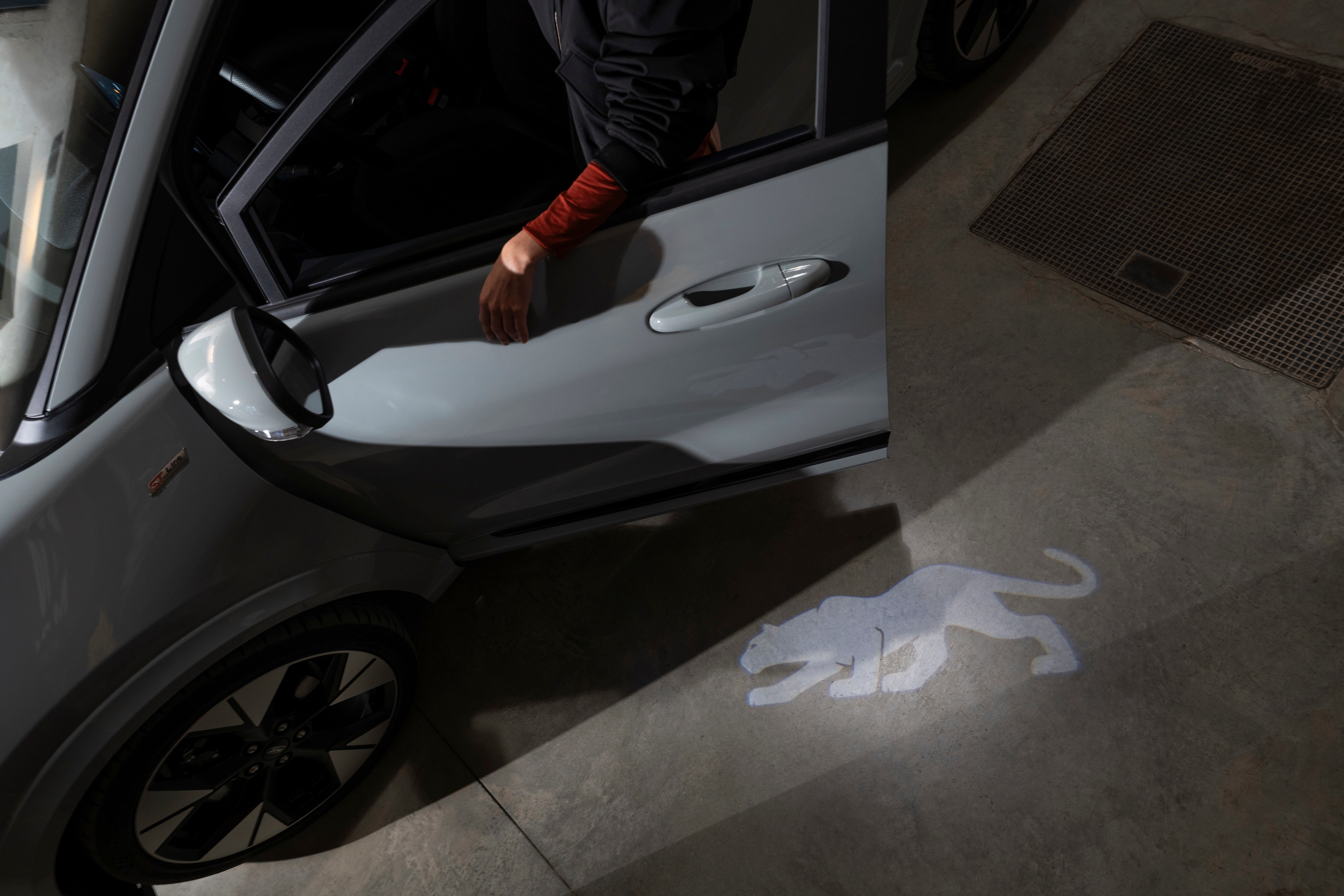 a puma light symbol next to an open door