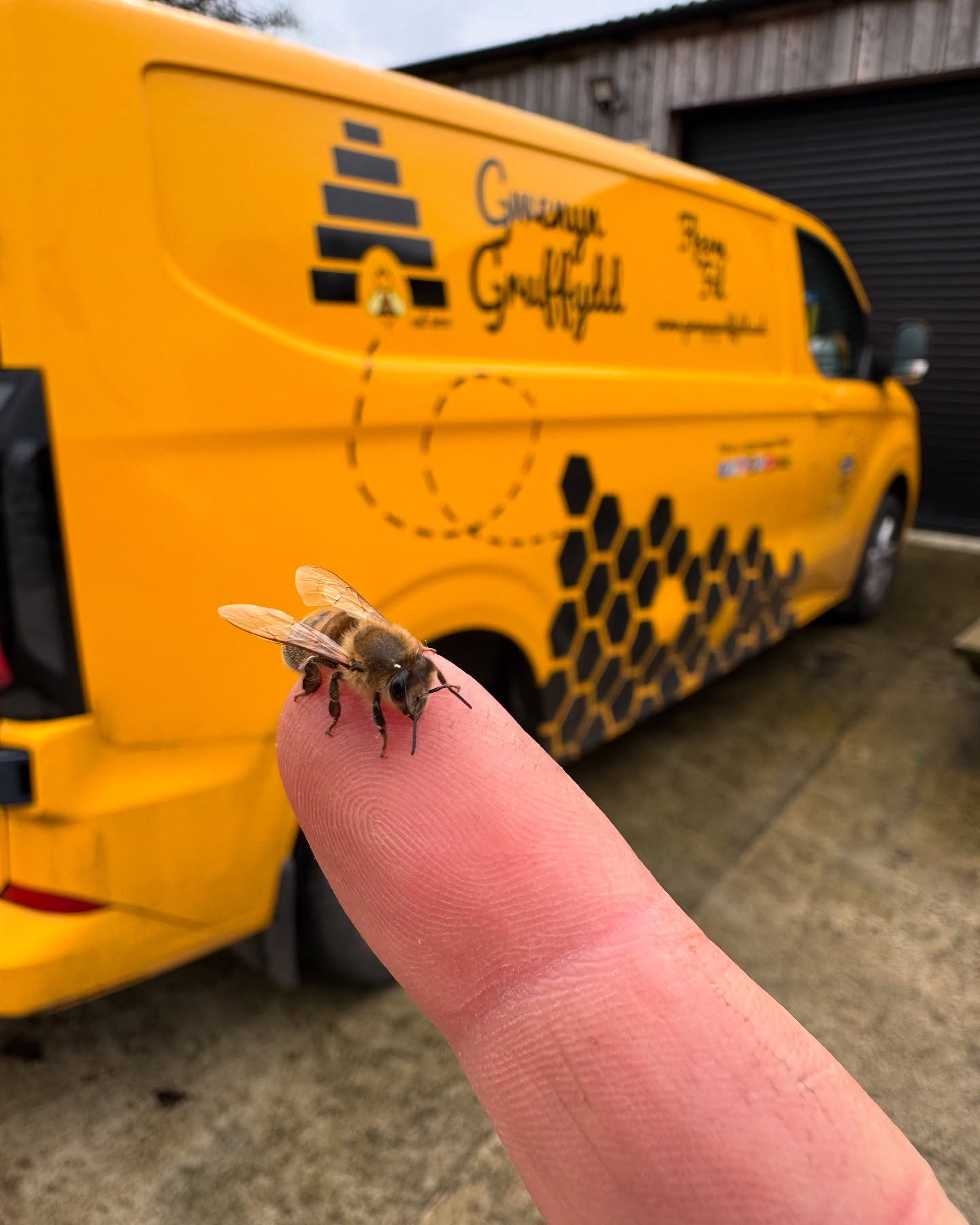 A Business Creating Some Buzz. 