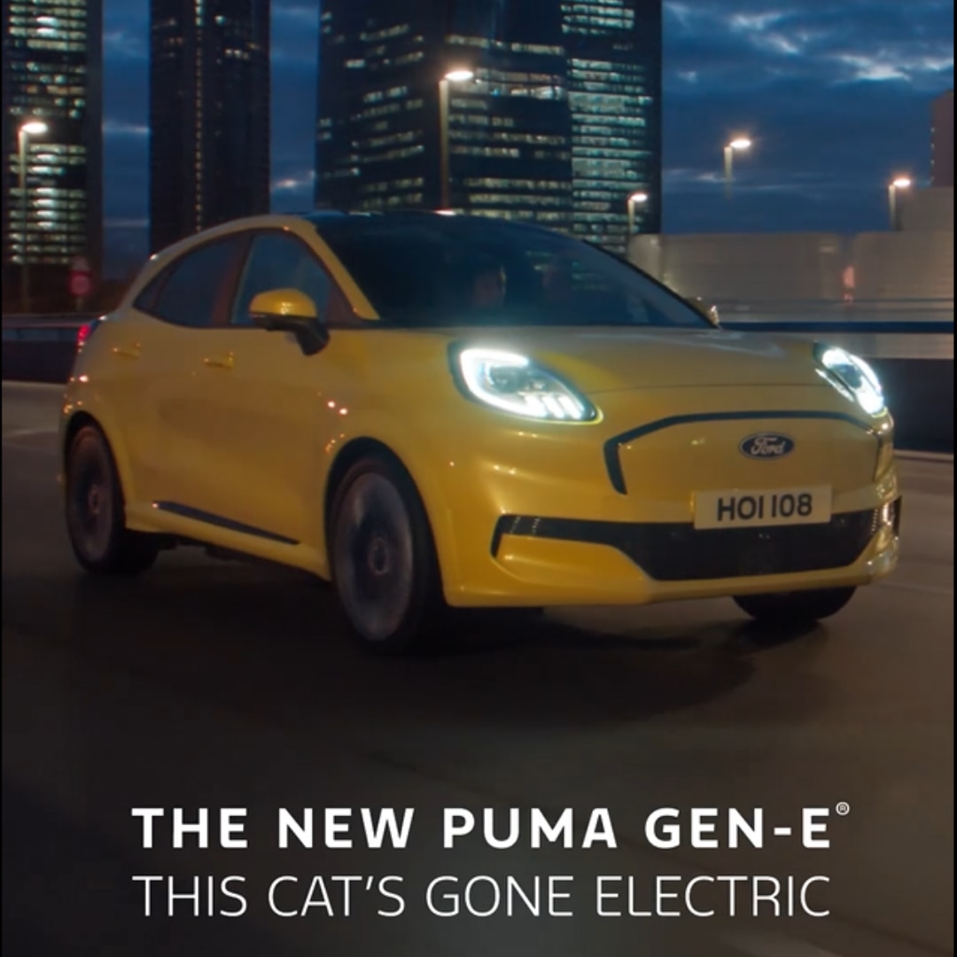 2025_PumaGenE_EverybodyWantsToBeACat_11 - 4