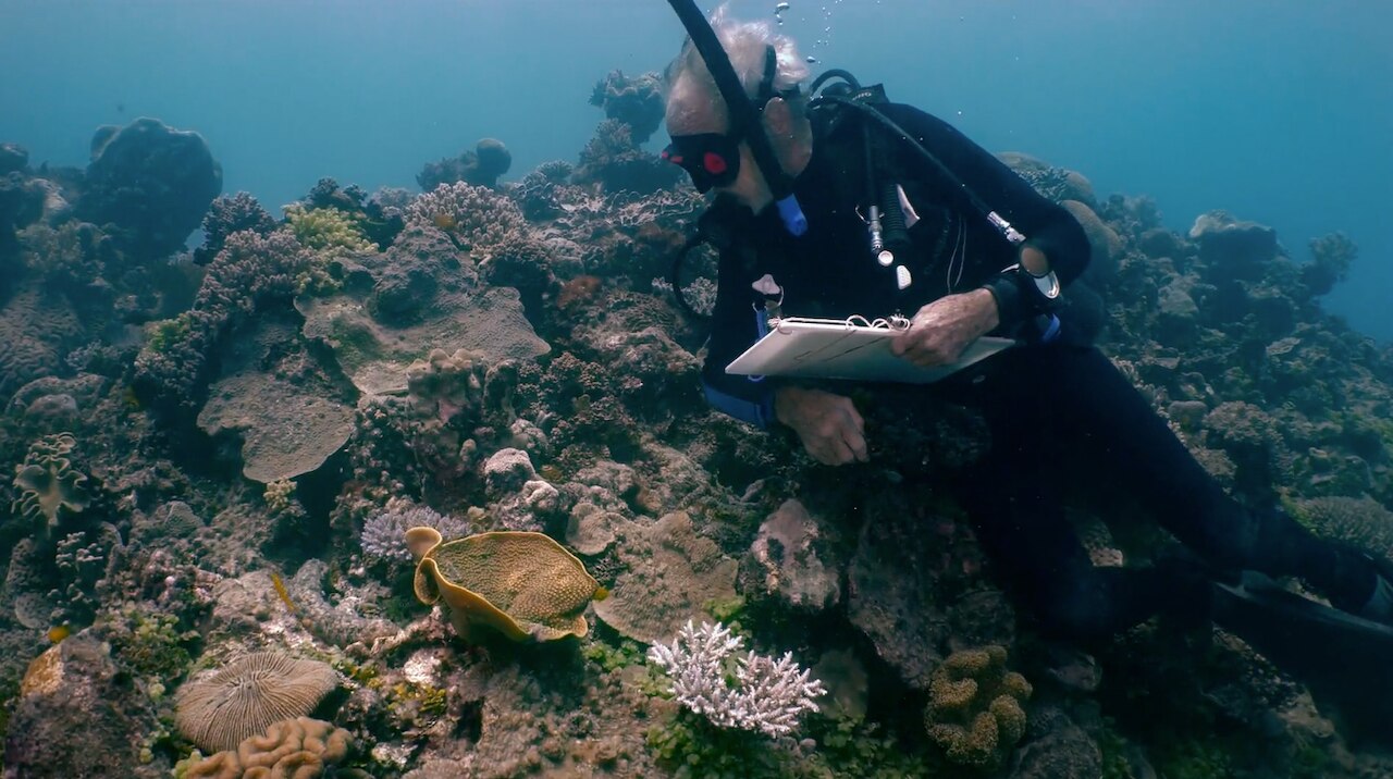 My Mission to Save the Great Barrier Reef
