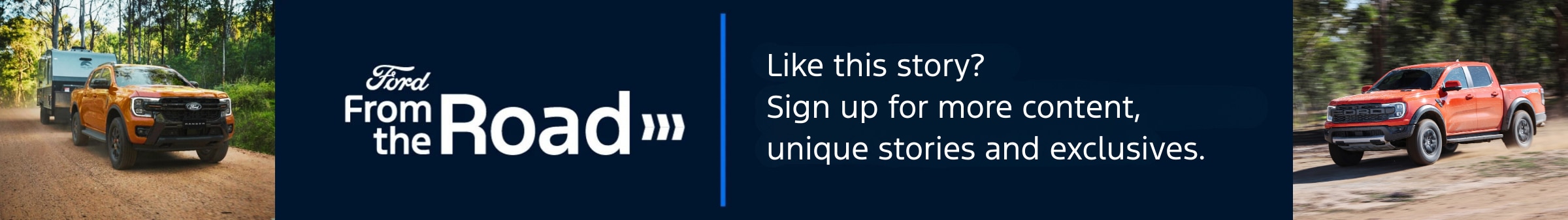 In Copy Subscriber Banner