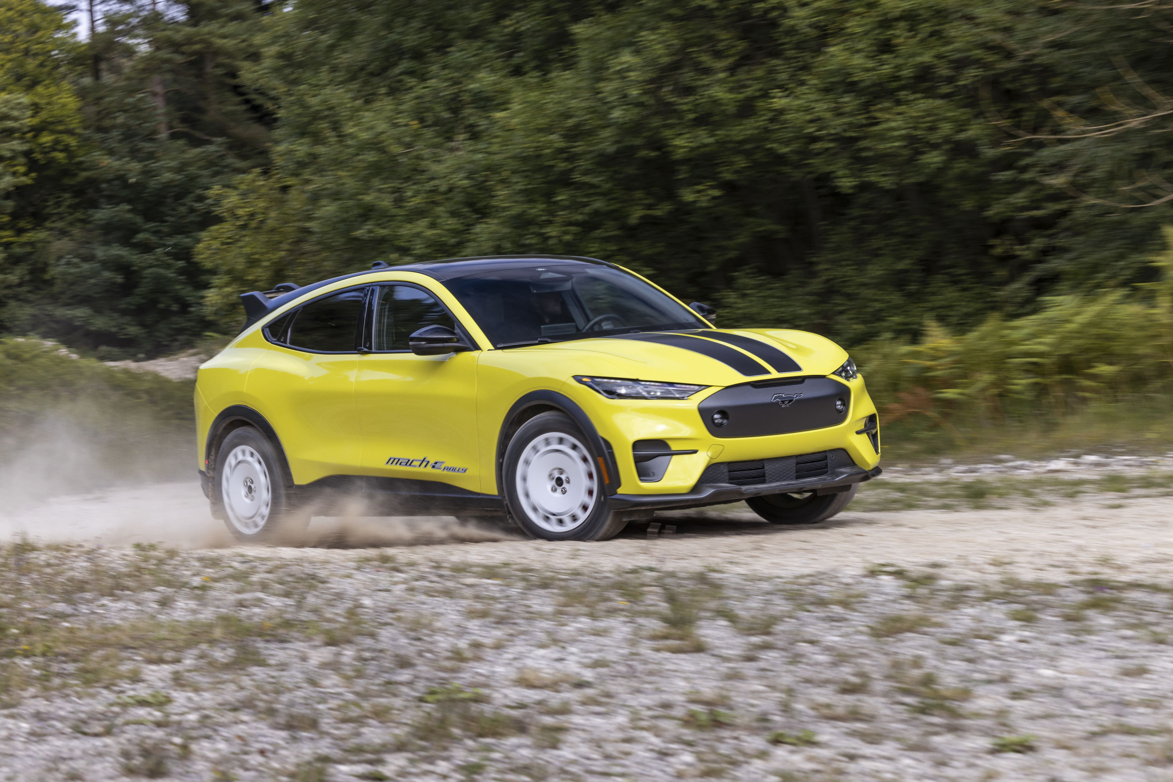 A 2024 Ford Mustang Mach-E Rally Edition