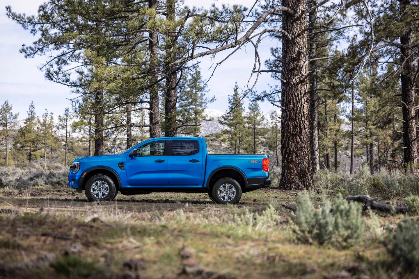 Ford Ranger Performance