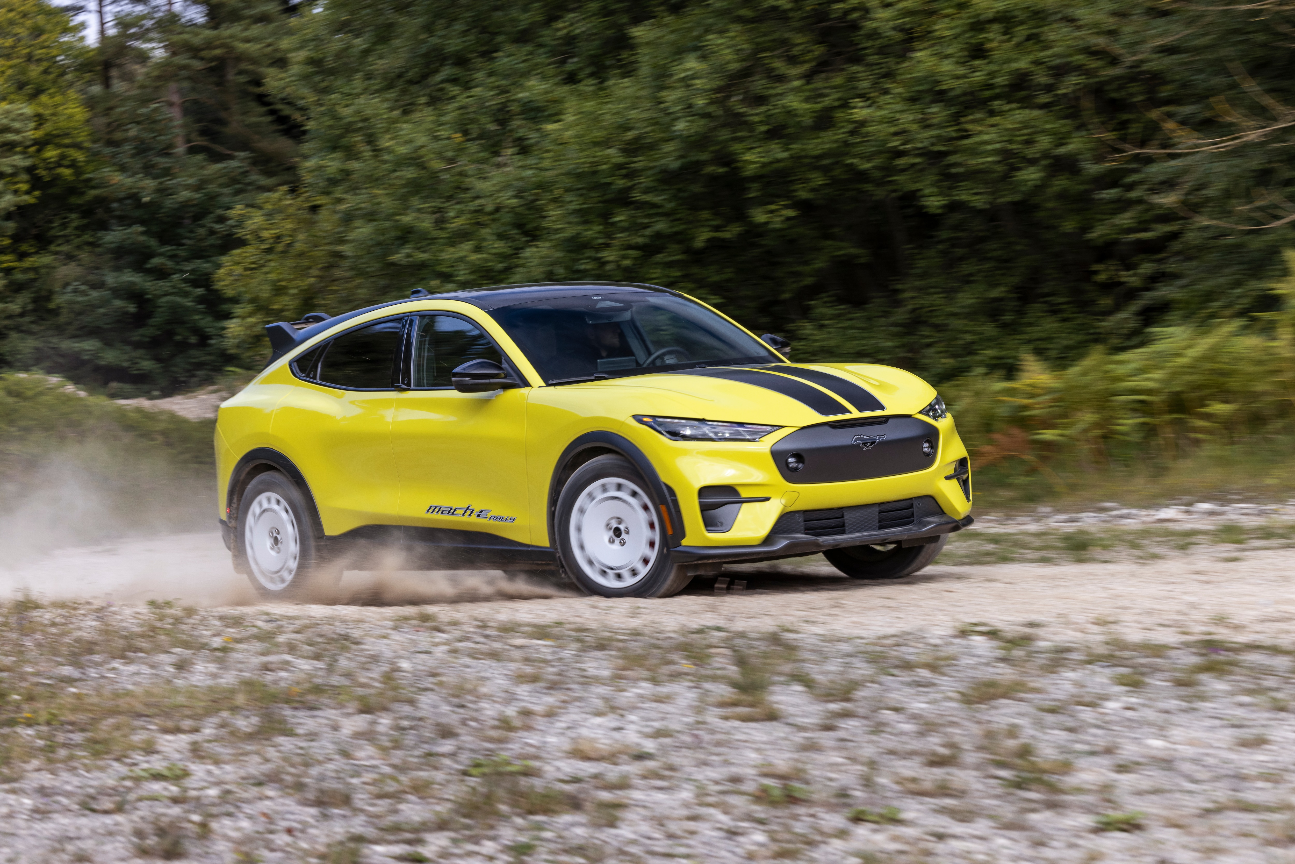 Every Mustang Mach-E Rally comes standard with two racing stripes that complement the bold color palette.