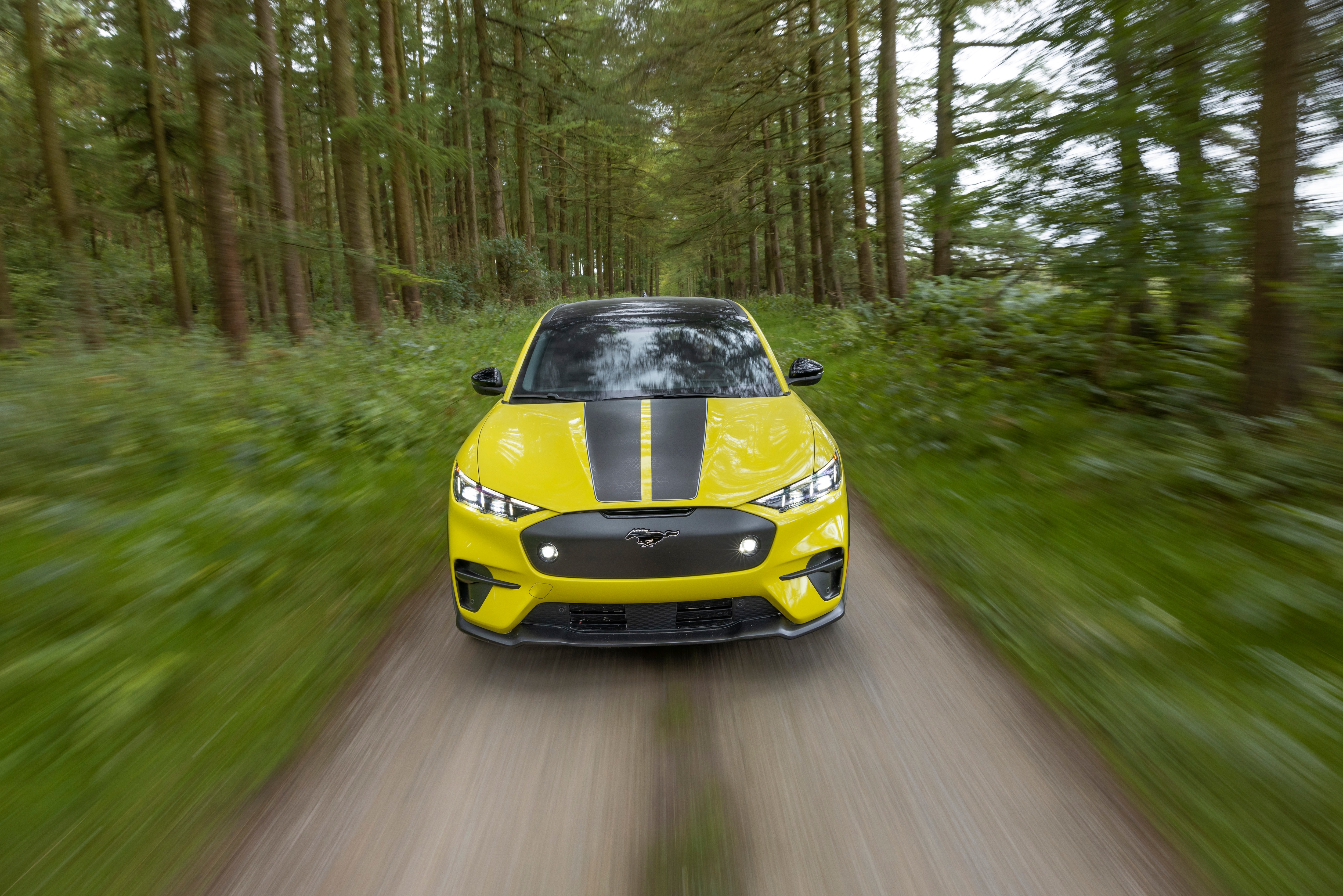 The Mustang Mach-E Rally Editing off-road.