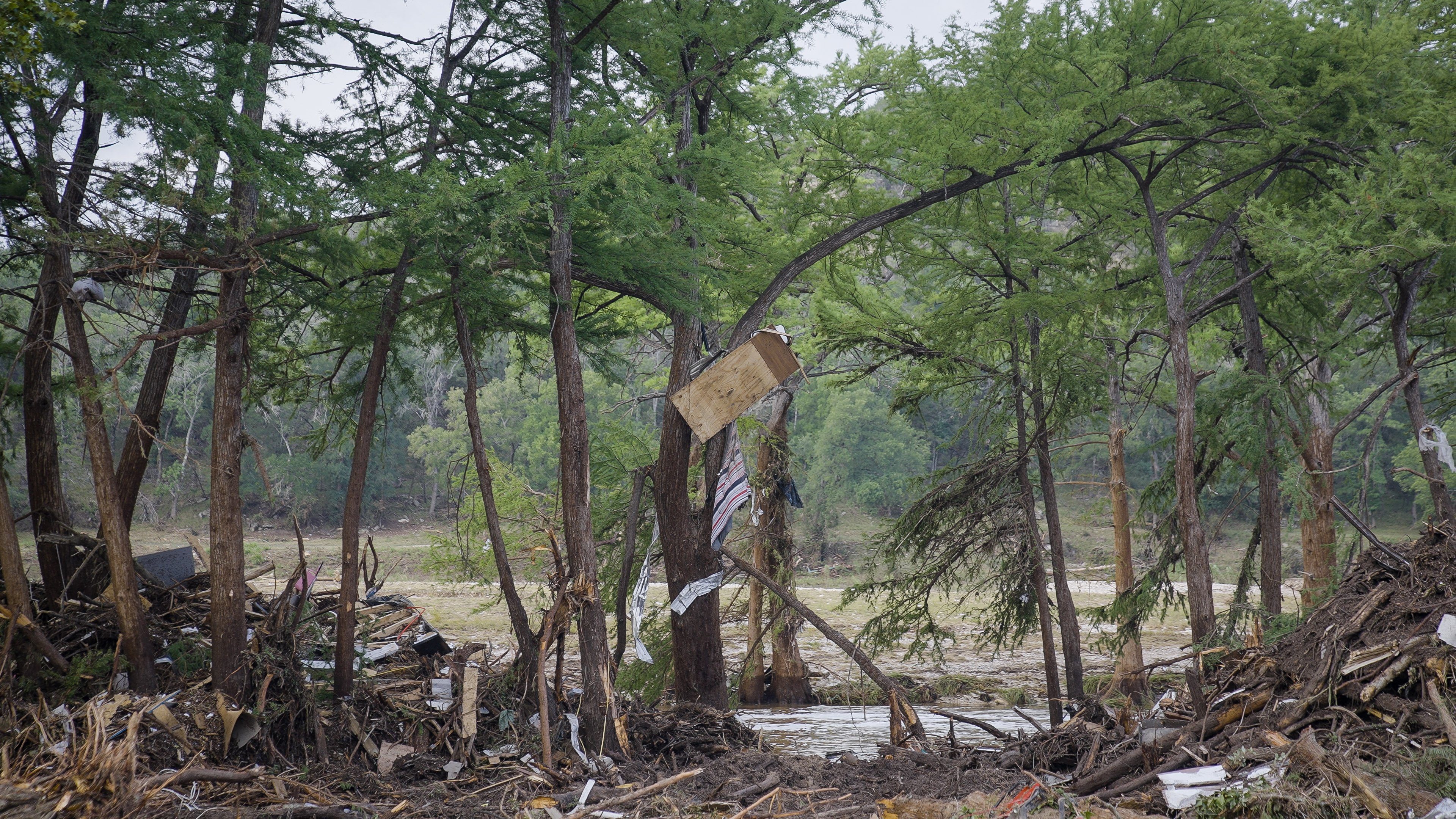 Trees ripped up over waterlogged grown with trash and debris strewn about in the aftermath of a flood.