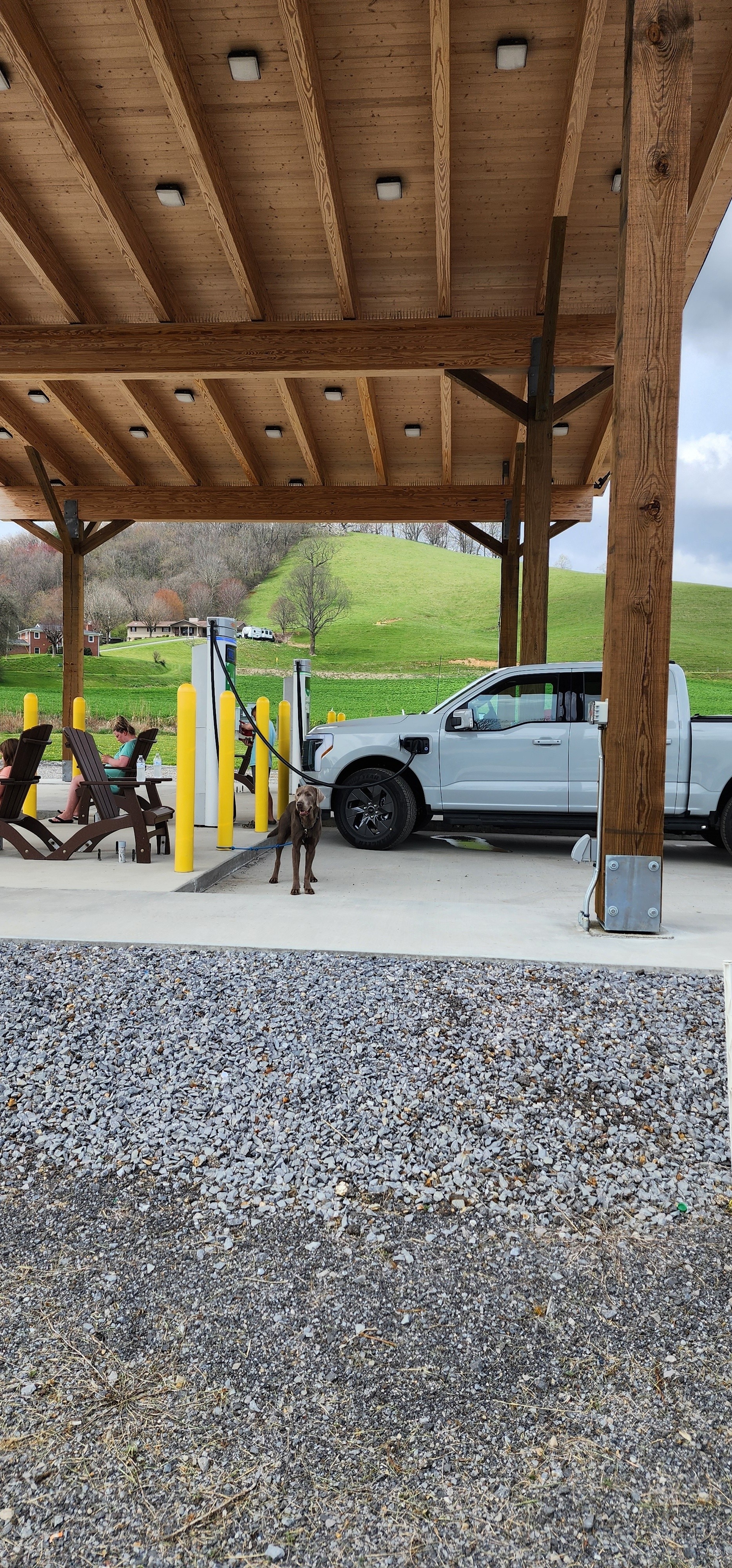 A white Ford F-150 Lightning charges.