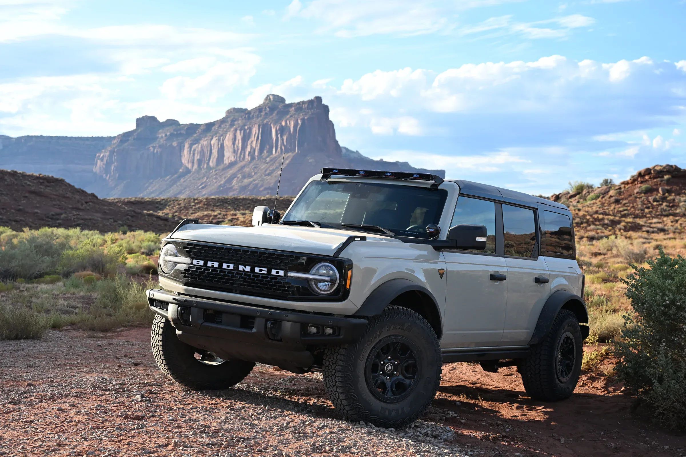 Forb Bronco 2024 2025