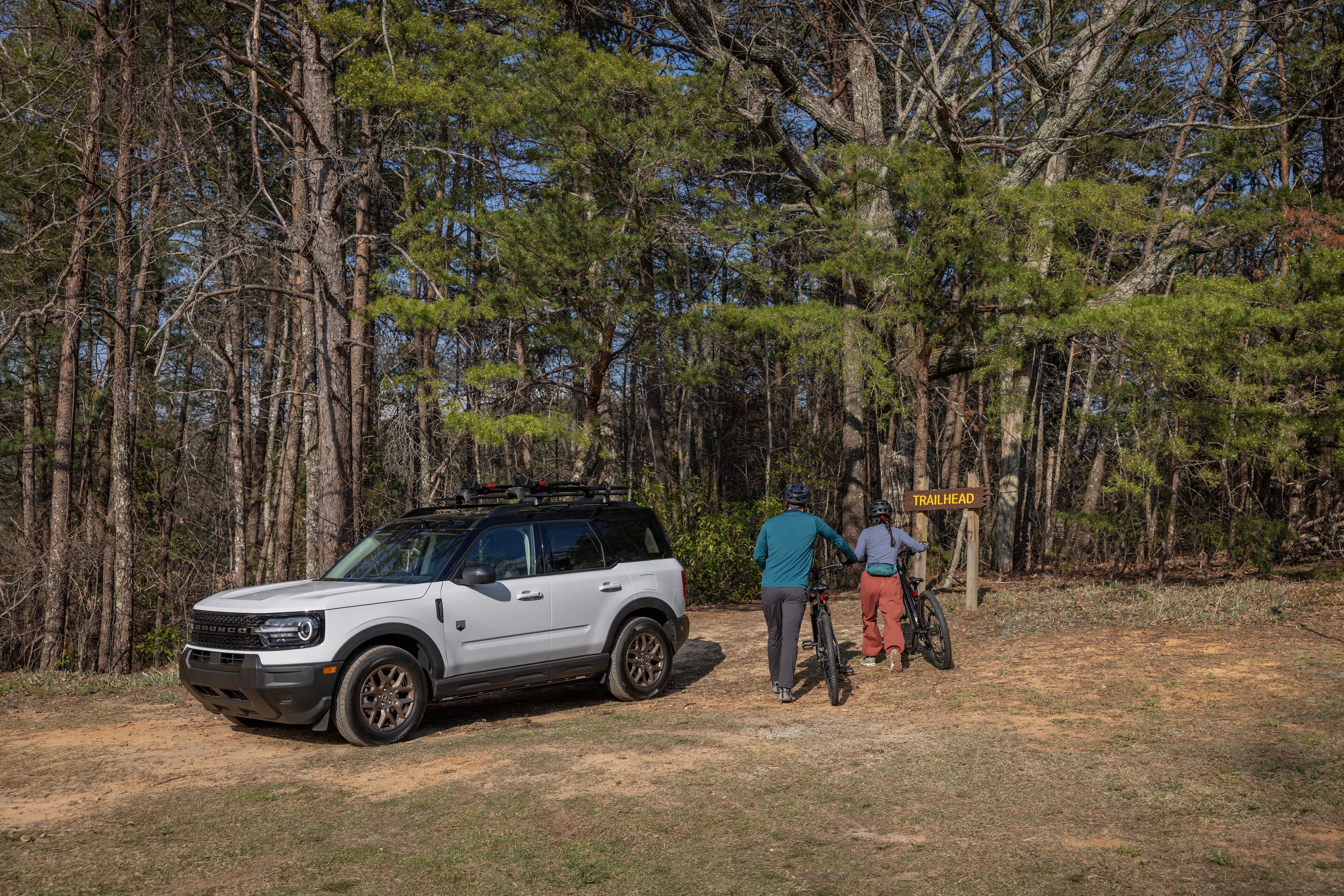 The big picture story this quarter is simple: Our Ford+ plan is delivering, our industrial execution continues to strengthen, and our core underlying business delivered a strong quarter.  