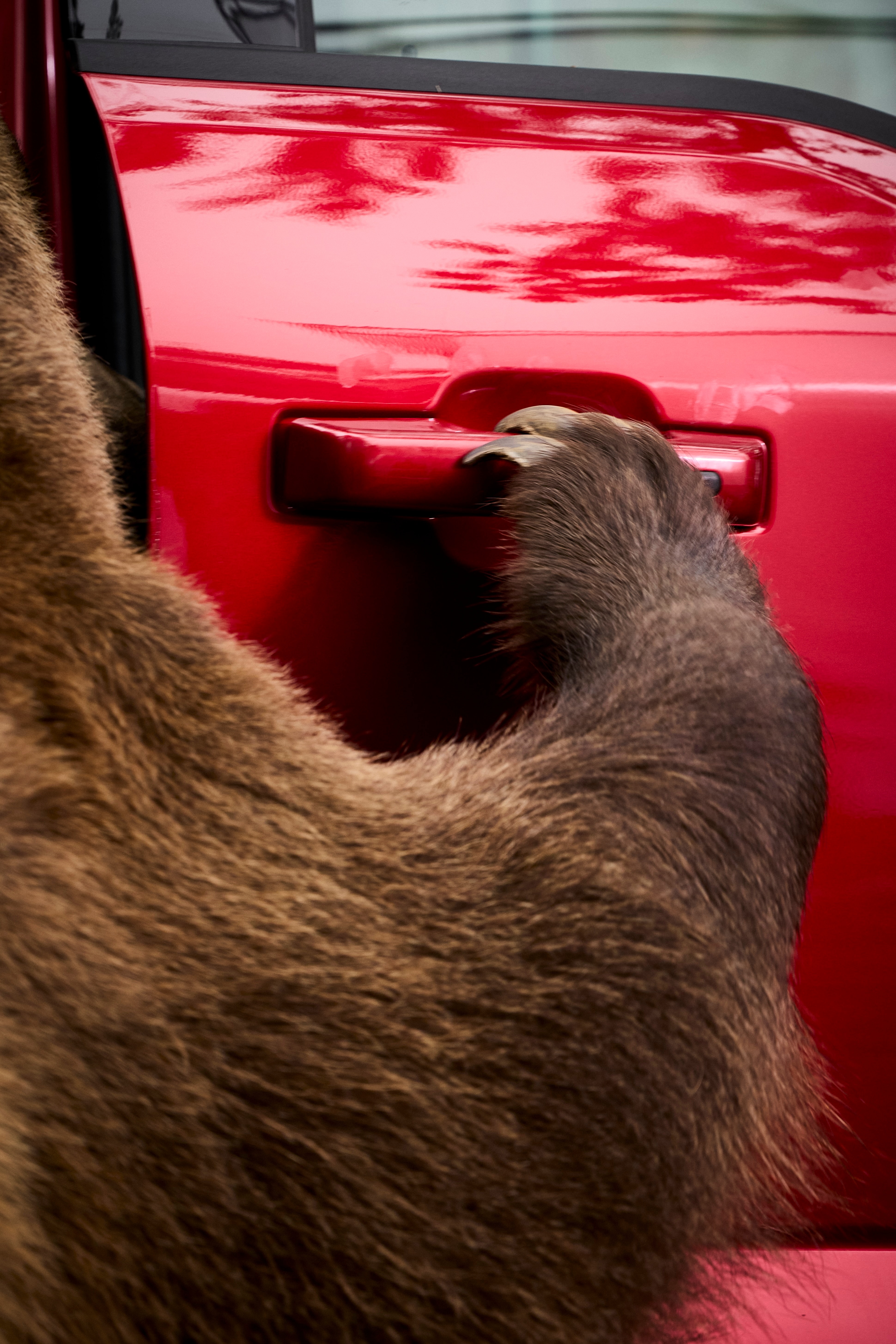 Tag even learned to open the F-150 truck's door.