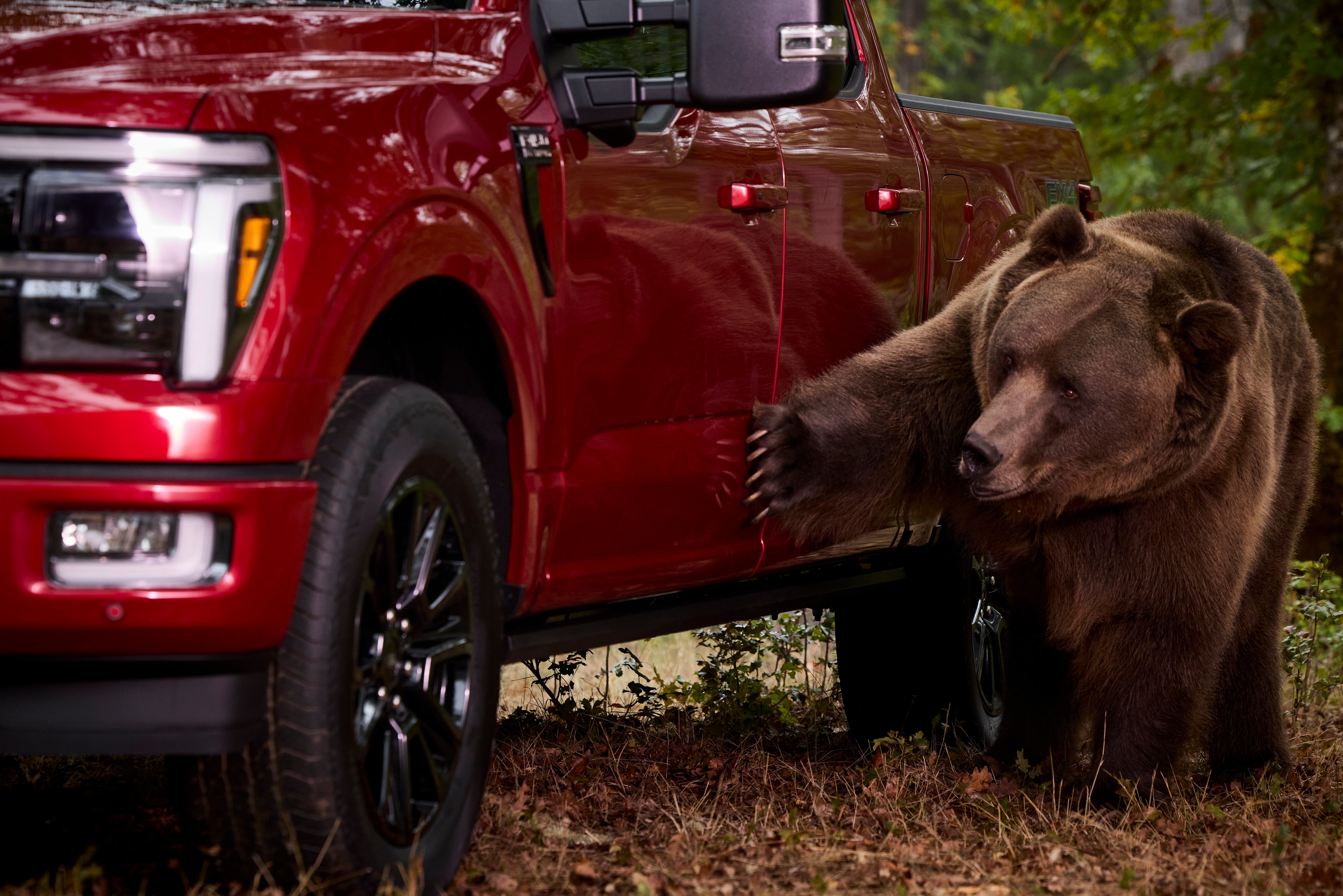 After years of perfecting the Ford Security Package, the Ford Secure team wanted a test that could go beyond the lab. Enter: a 1,000-pound Kodiak bear.