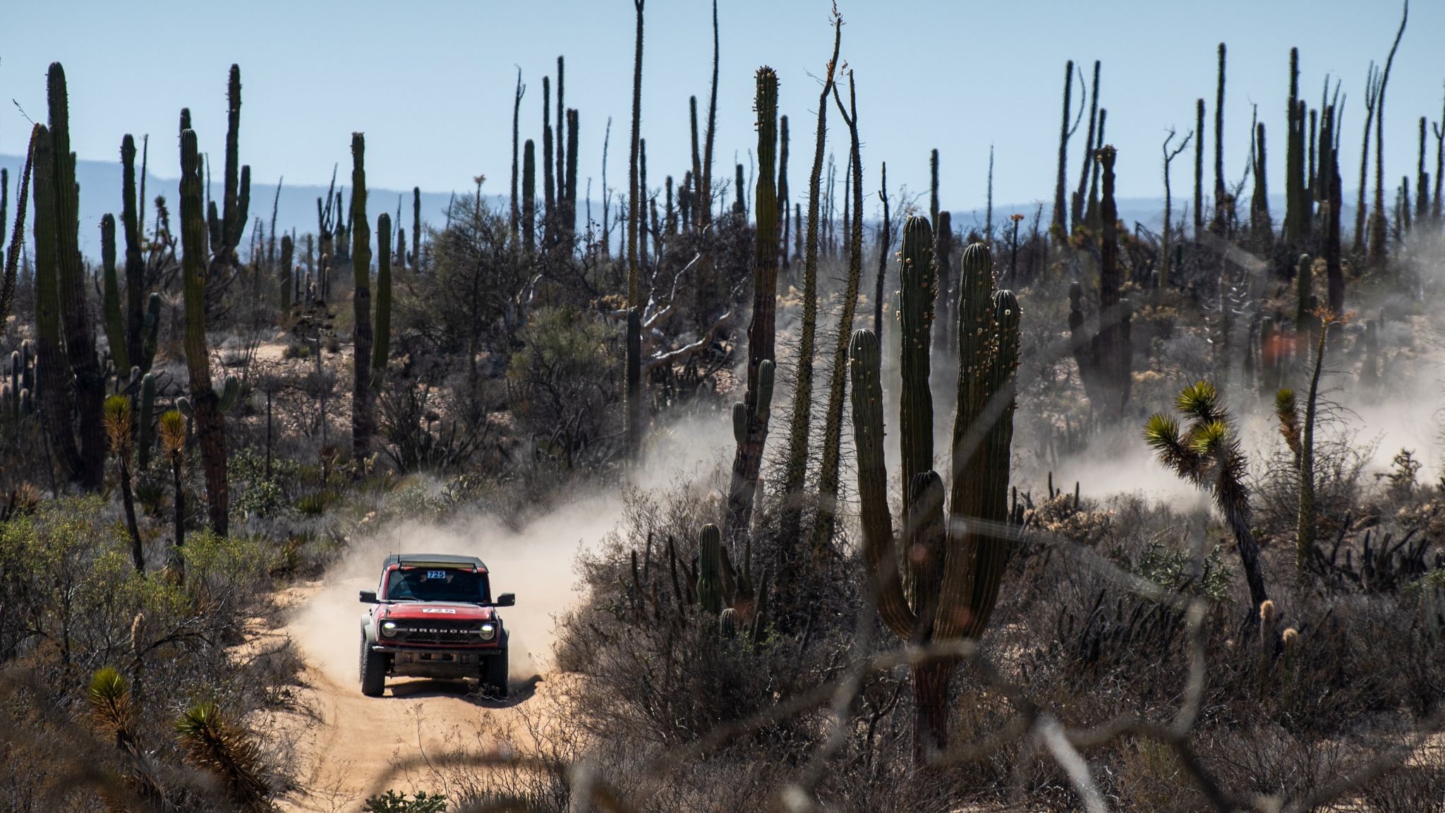 2024 Ford Bronco® Wildtrak® model with optional equipment, available Ford Accessories, aftermarket equipment, and extra-cost color option shown. Professional driver on closed course. Do not attempt. Always consult the Owner’s Manual before off-road driving, know your terrain and trail difficulty, and use appropriate safety gear.