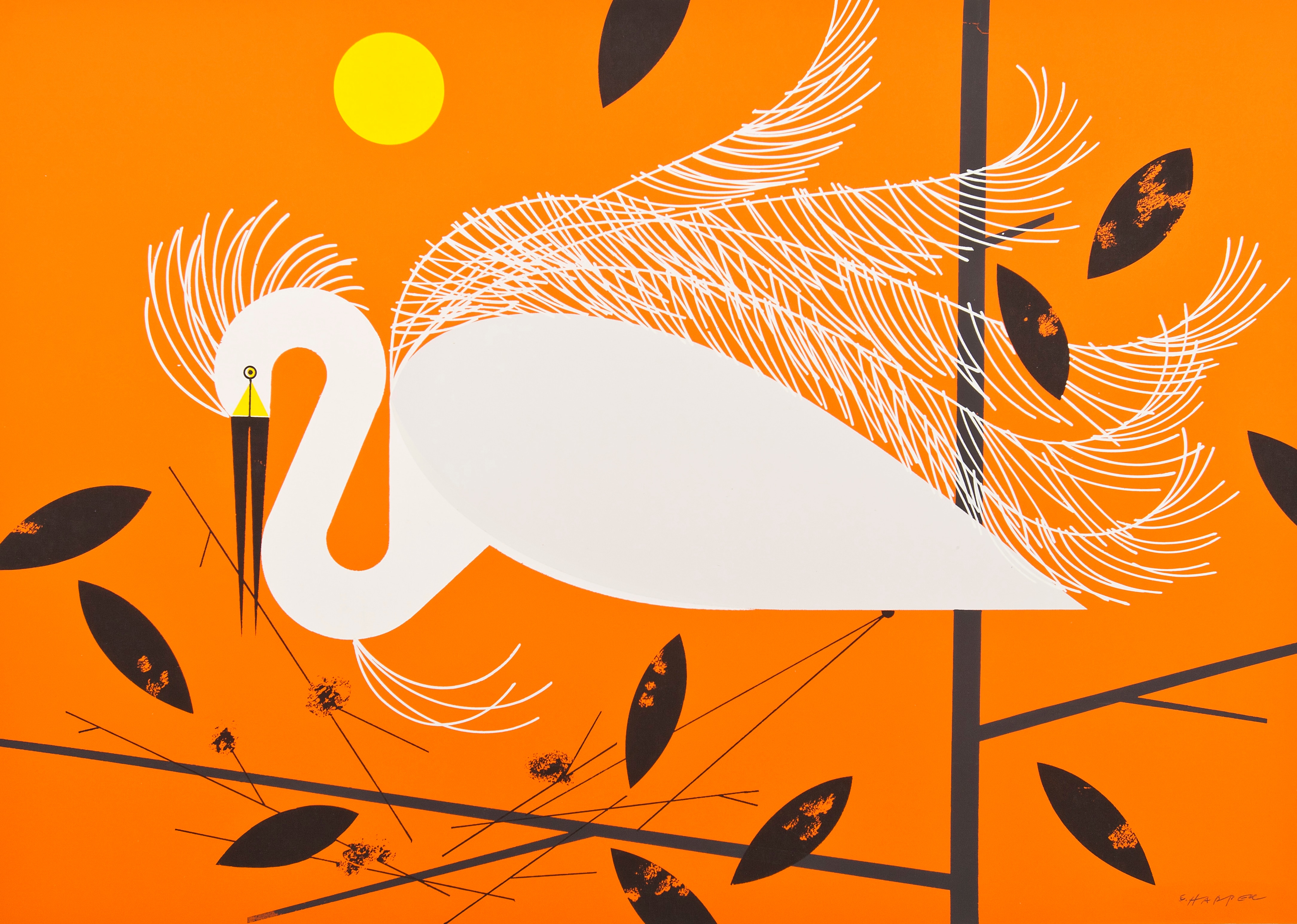 From 1954 to 1960, Harper illustrated 10 birds for each November issue of the magazine, including the snowy egret in 1958.