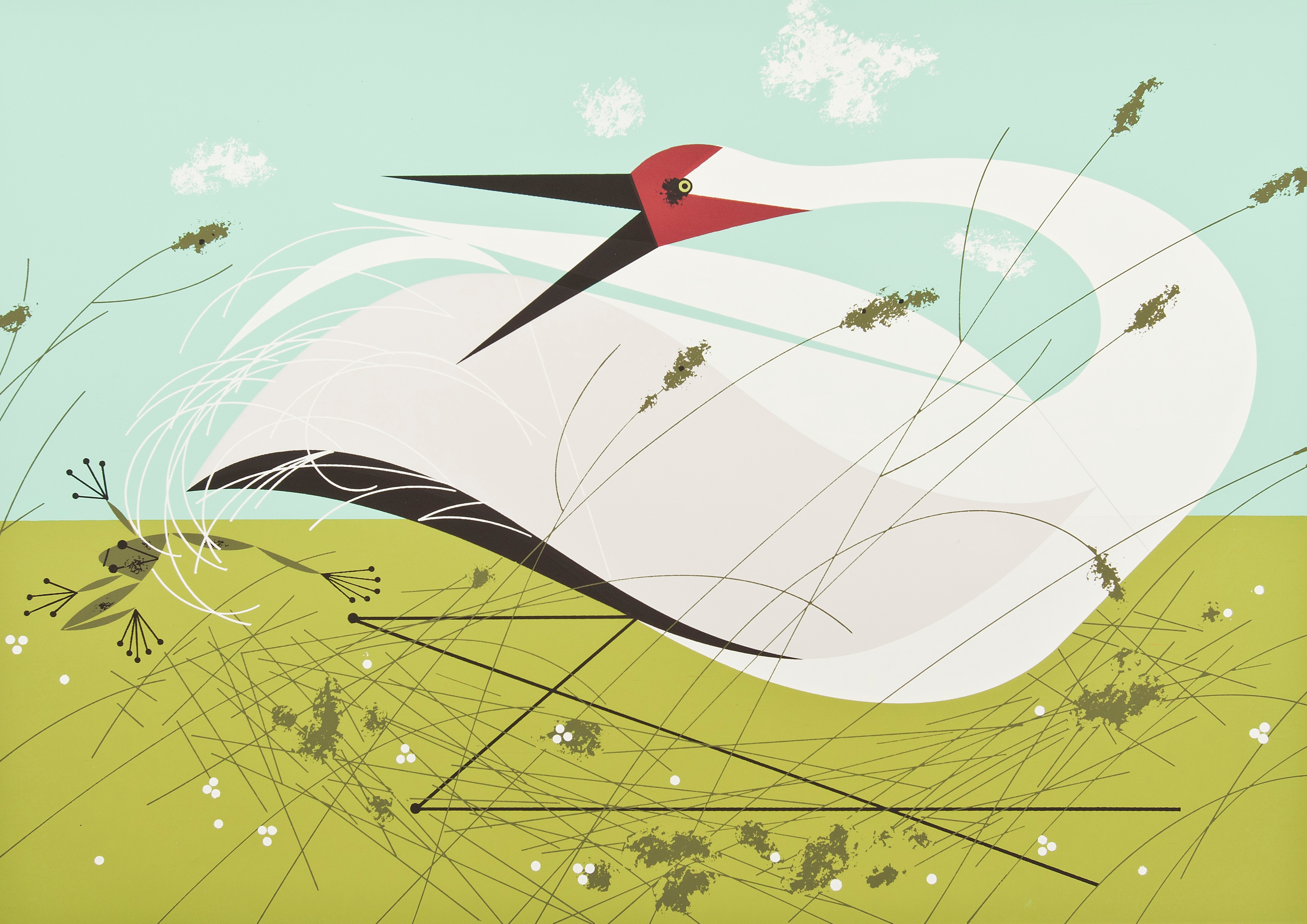 From 1954 to 1960, Harper illustrated 10 birds for each November issue of the magazine, including the whooping crane in 1957. 