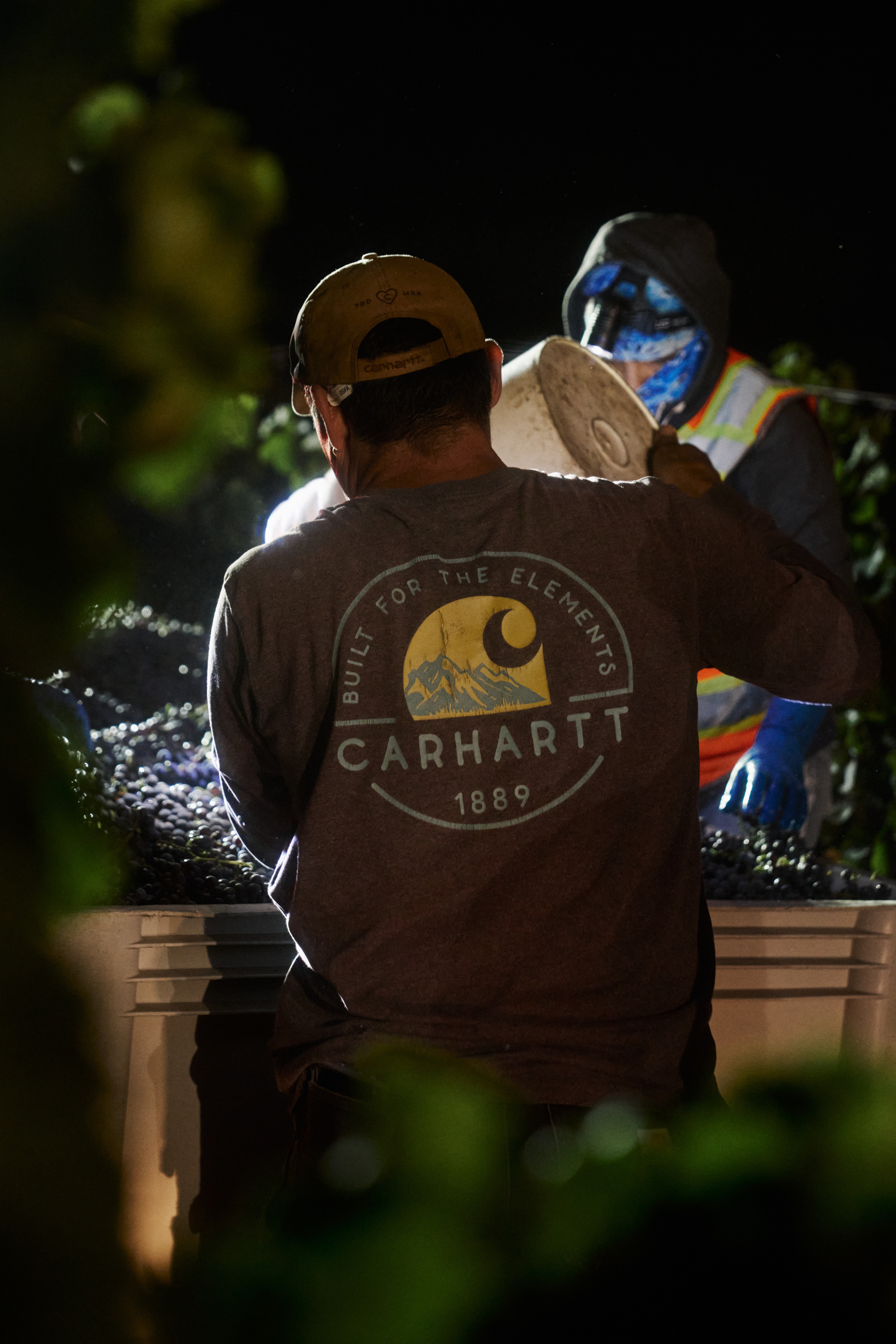 Inside the Harvest at Carhartt Family Wines with the New Super Duty Carhartt Truck
