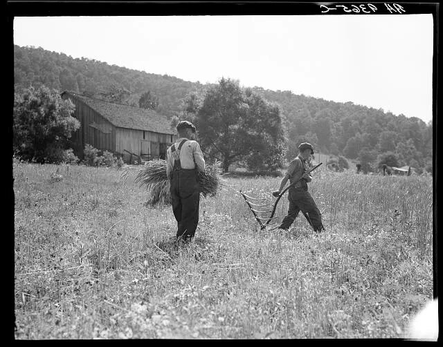 Dorothea Lange, photographer, 1936, near Sperryville, Virginia.