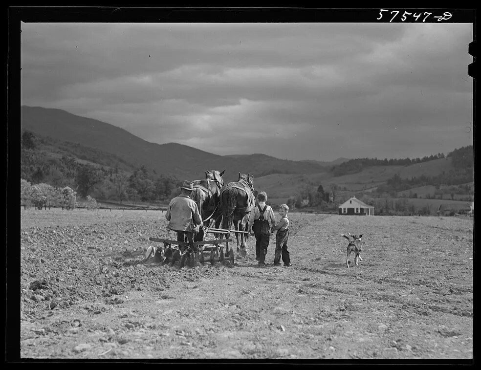 Marion Post Wolcott, photographer, 1940. Near Luray, Virginia.