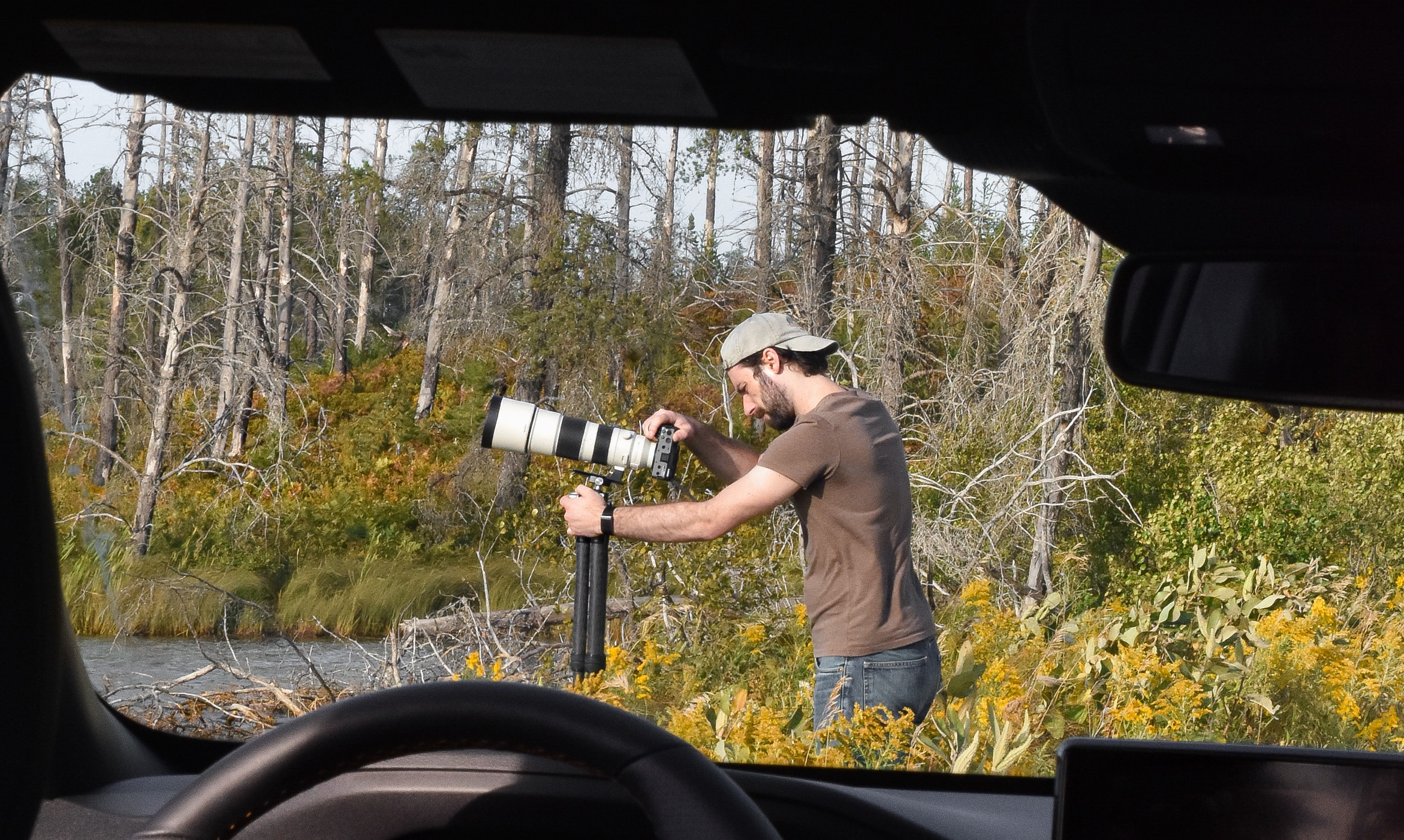 Give birds plenty of room, and stick to designated roads and trails.