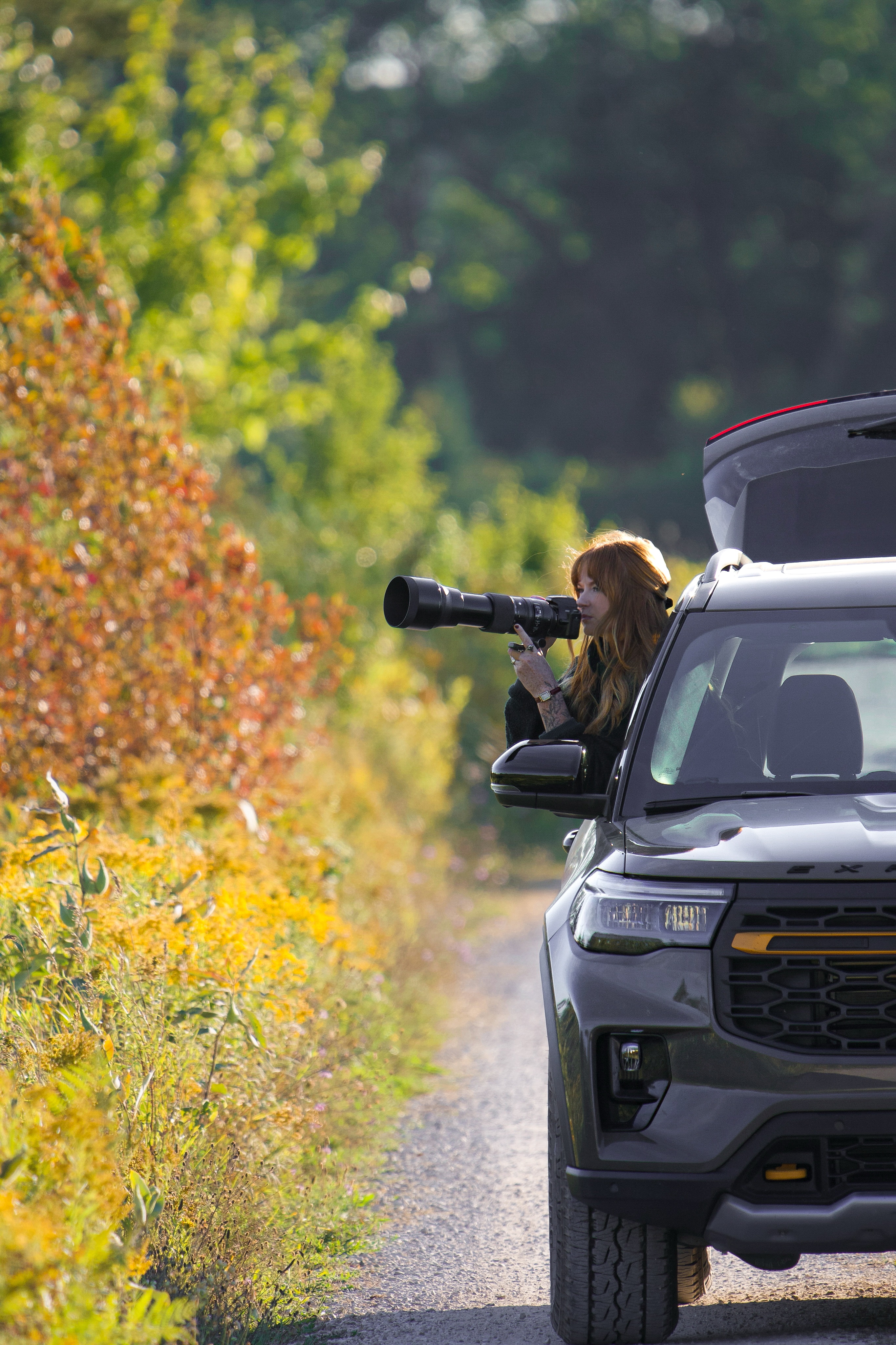 The seven-mile Marshland Wildlife Drive at Seney National Wildlife Refuge in Michigan takes visitors through forests and wetlands.