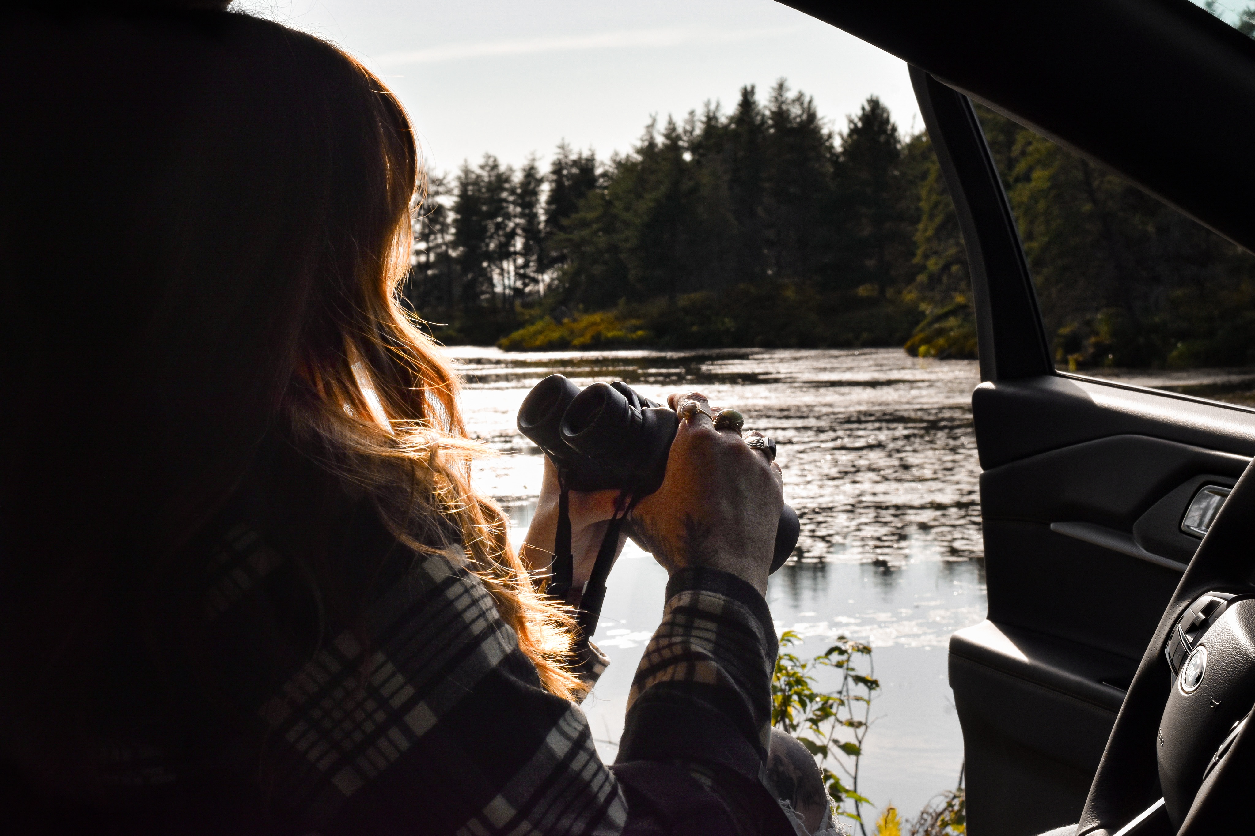 Established in 1935, Seney features more than 95,000 acres of marshes, swamps, bogs and forests.