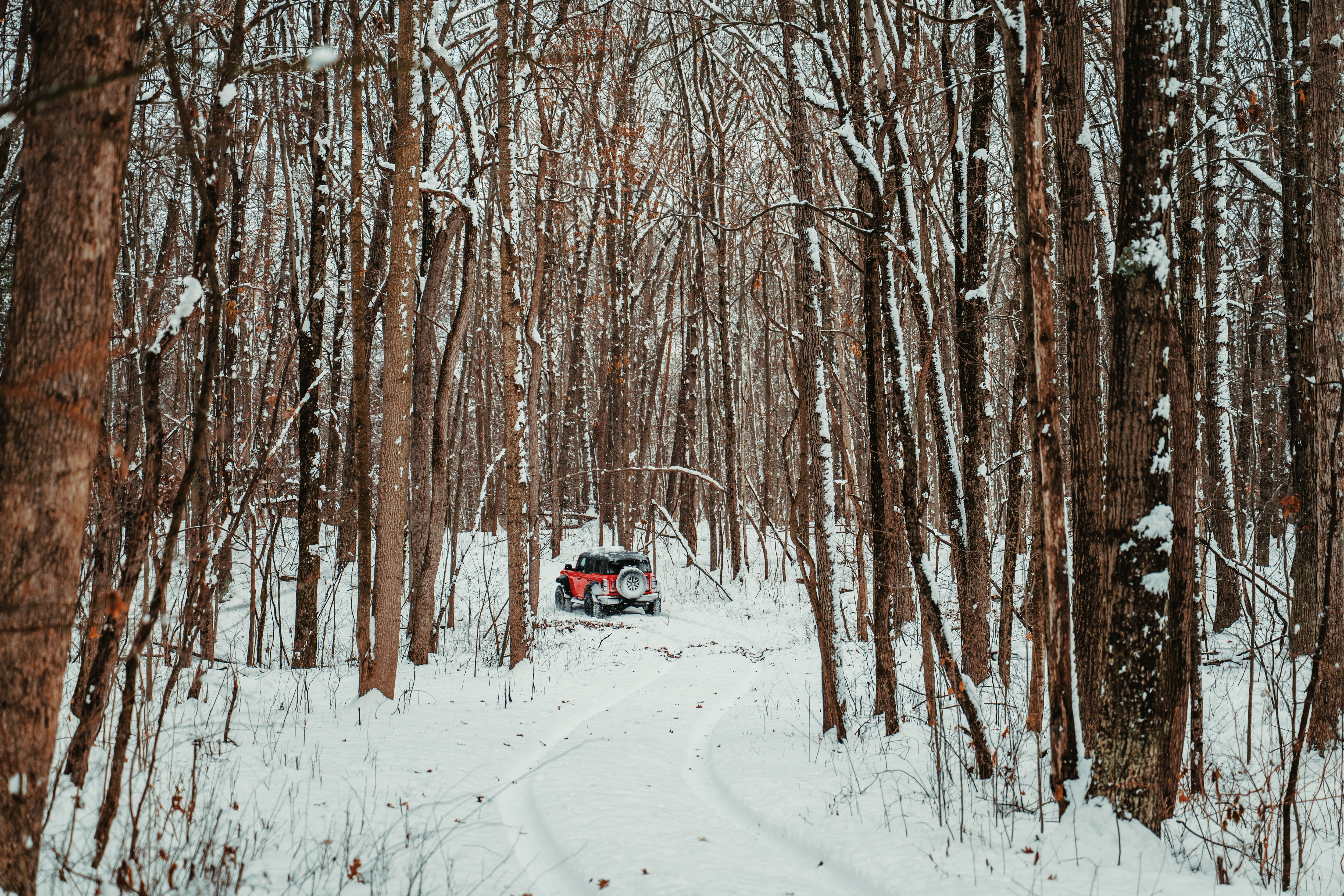 A red Ford Bronco drives through a snowy wooded area.