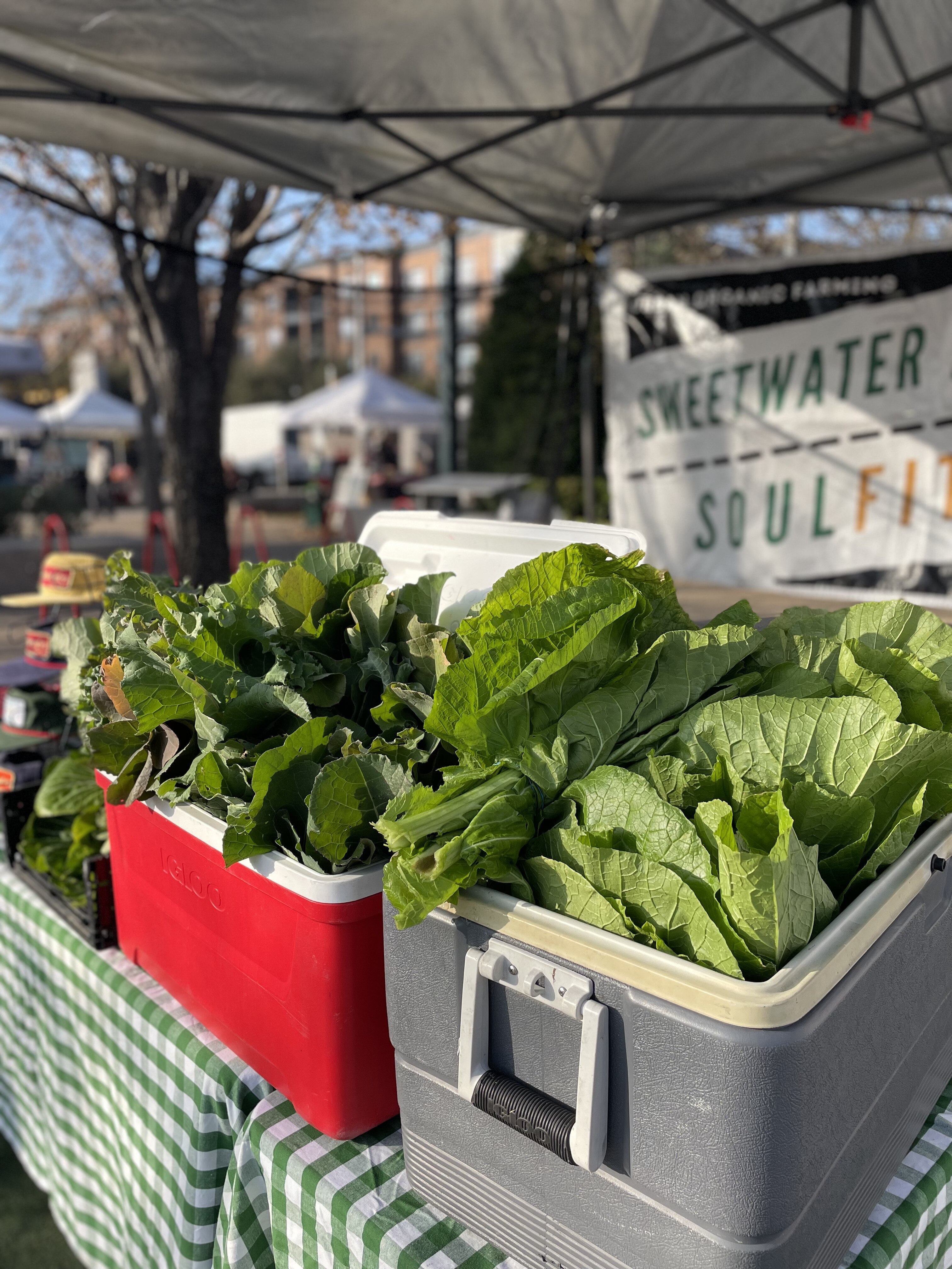 Chaz Daughtry's stand at the local farmer's market.