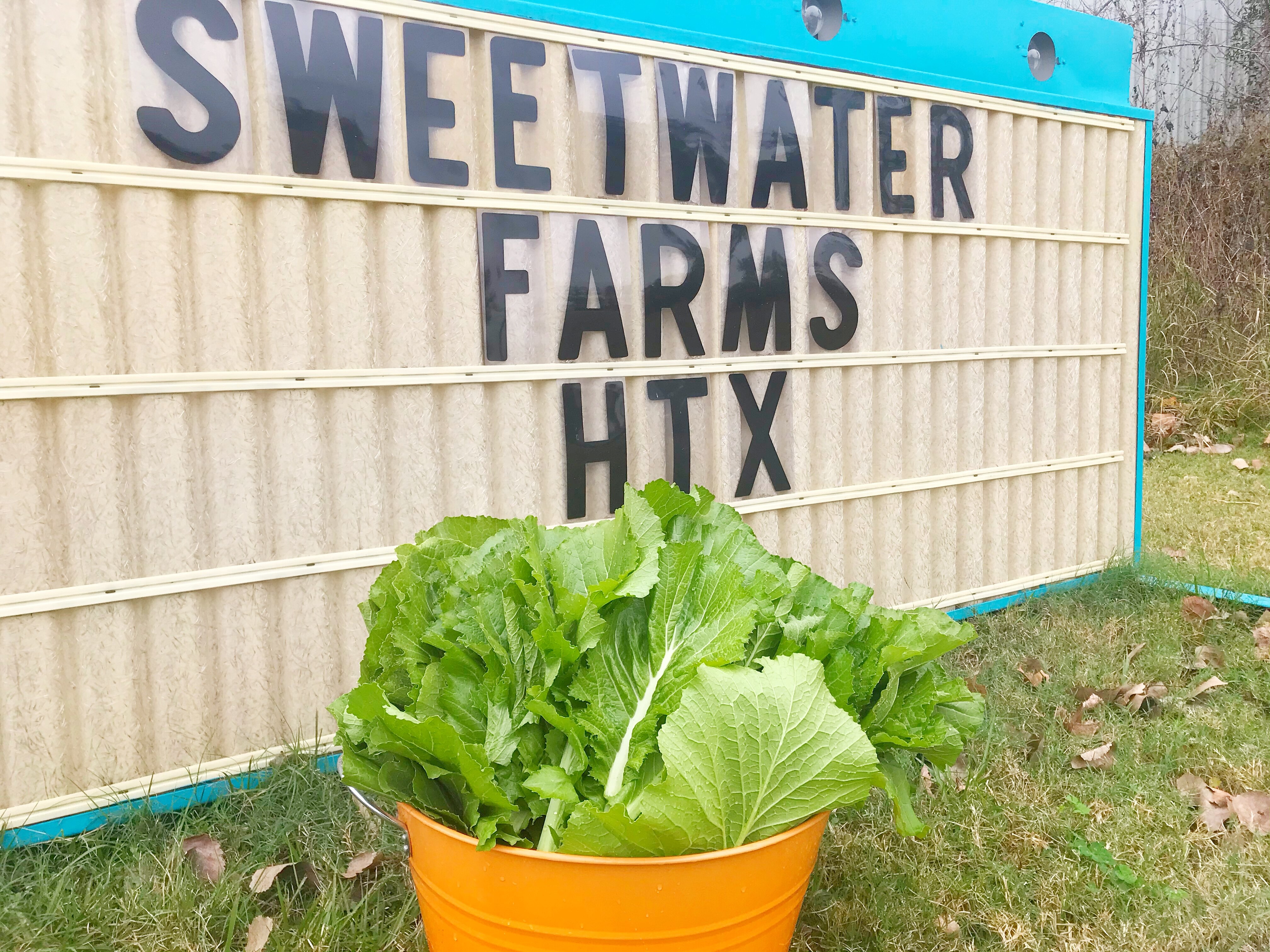 Sweetwater Farms HTX