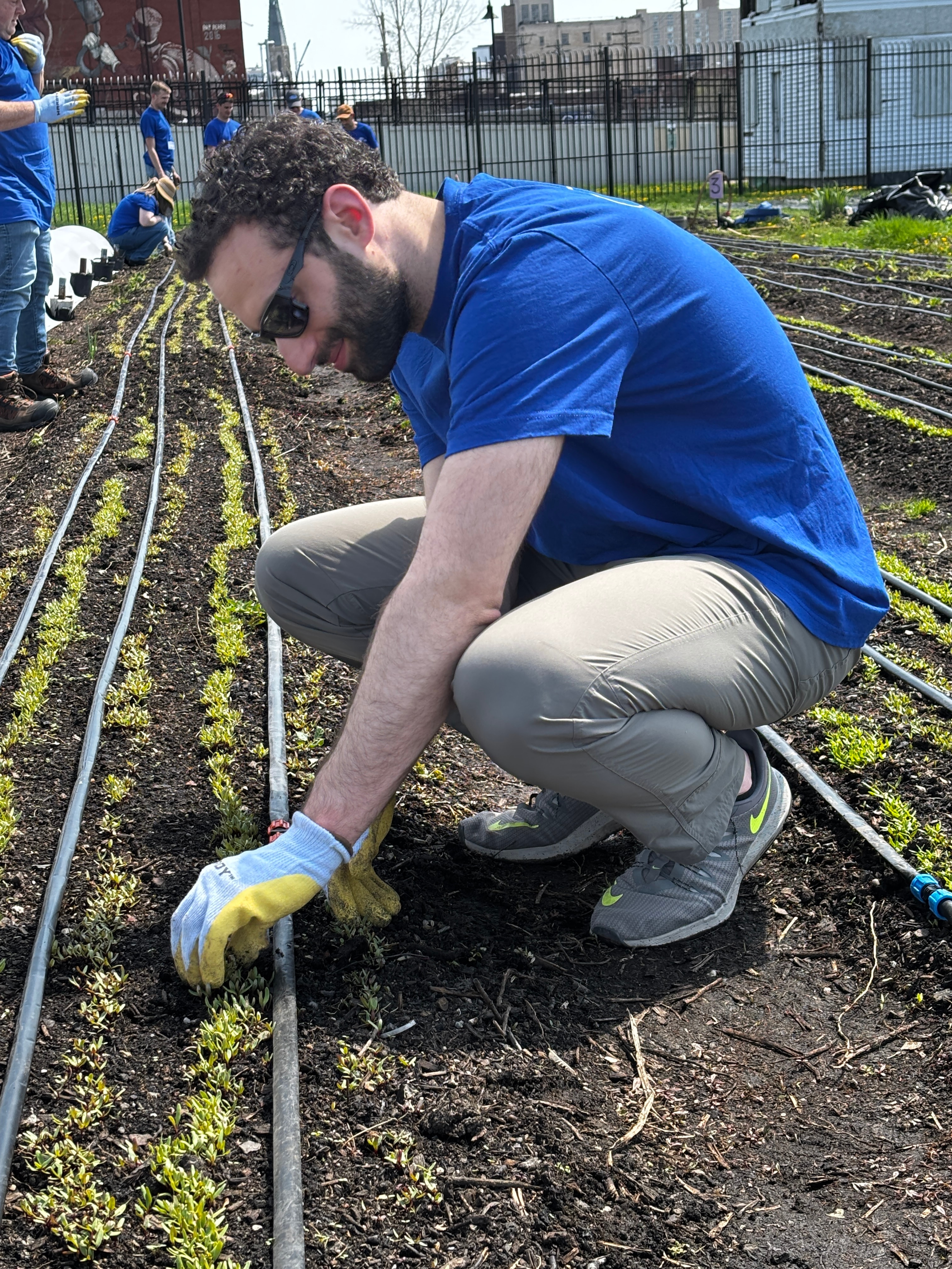 Employees dedicated 90 hours to weeding, planting, and nurturing the farm.
