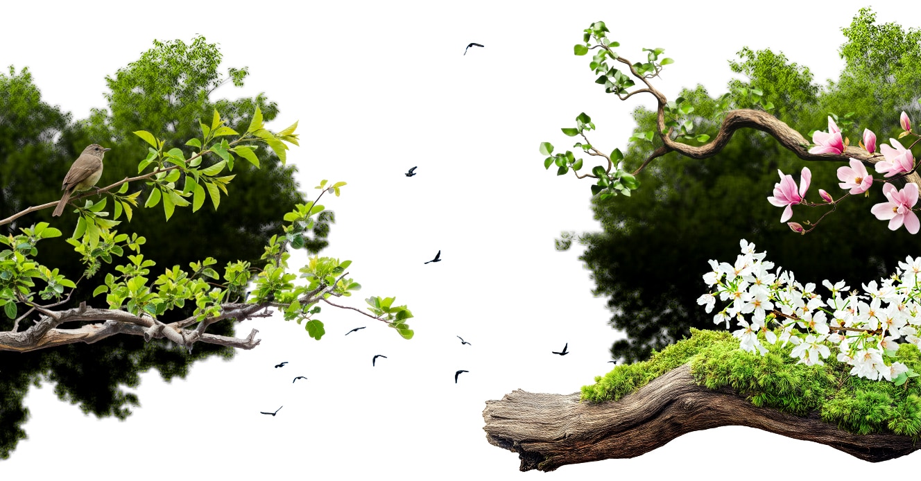 Reconnecting with the natural world doesn't have to be complicated.