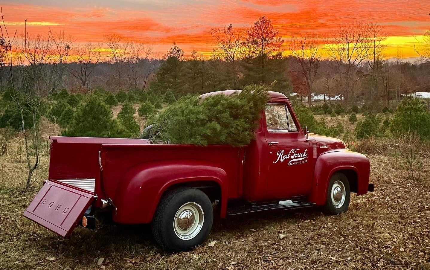 Red Truck Bakery's 1954 Ford F-100.
