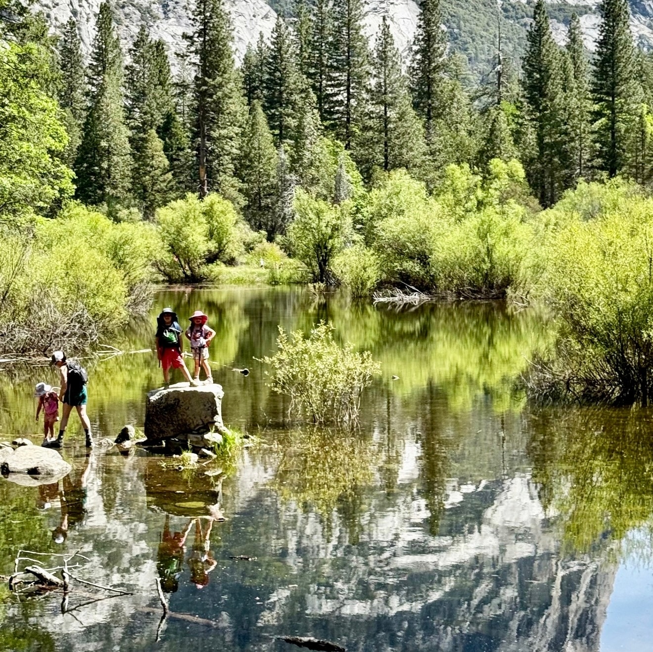 Yosemite National Park