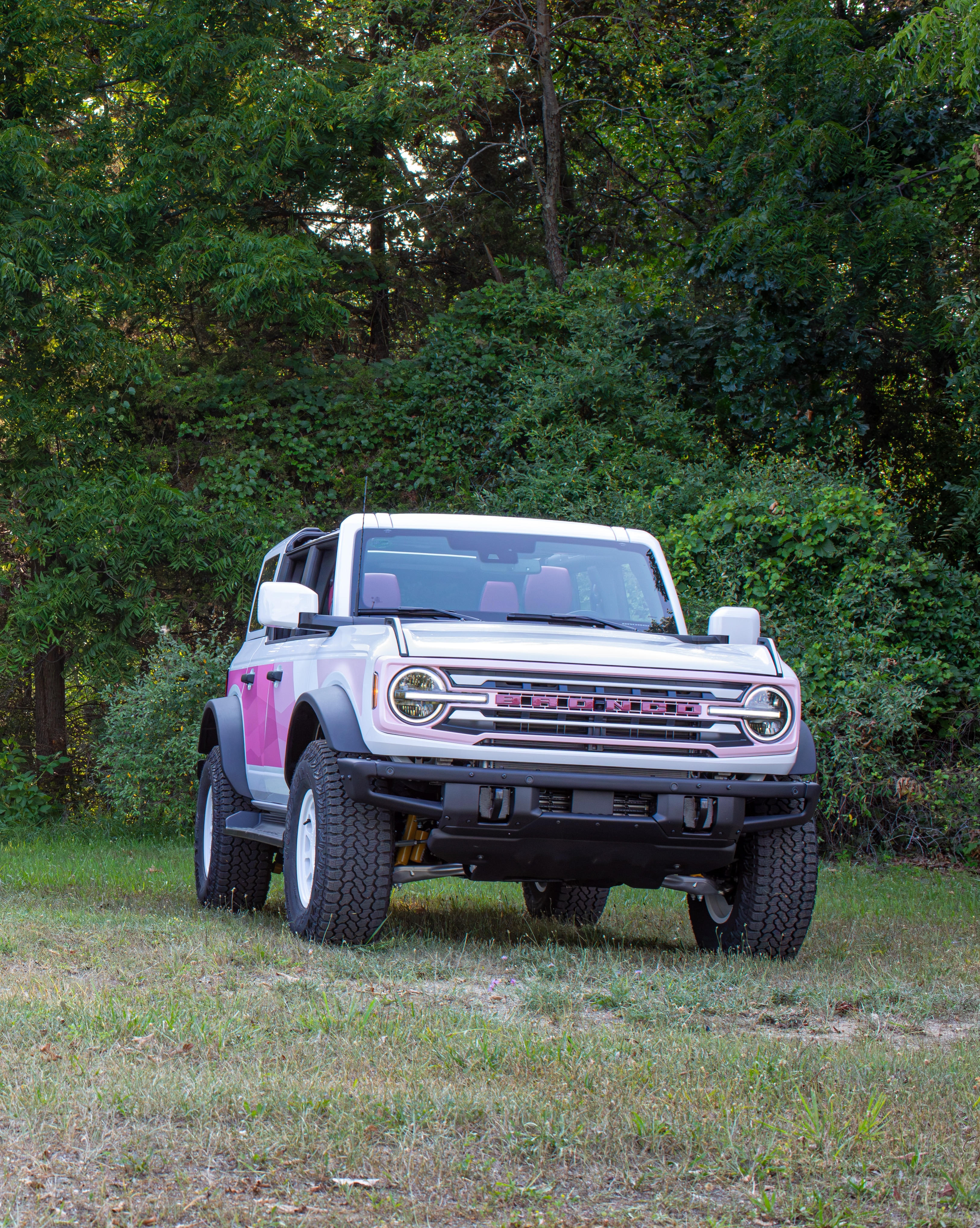 Ford Bronco Desert Rising Edition