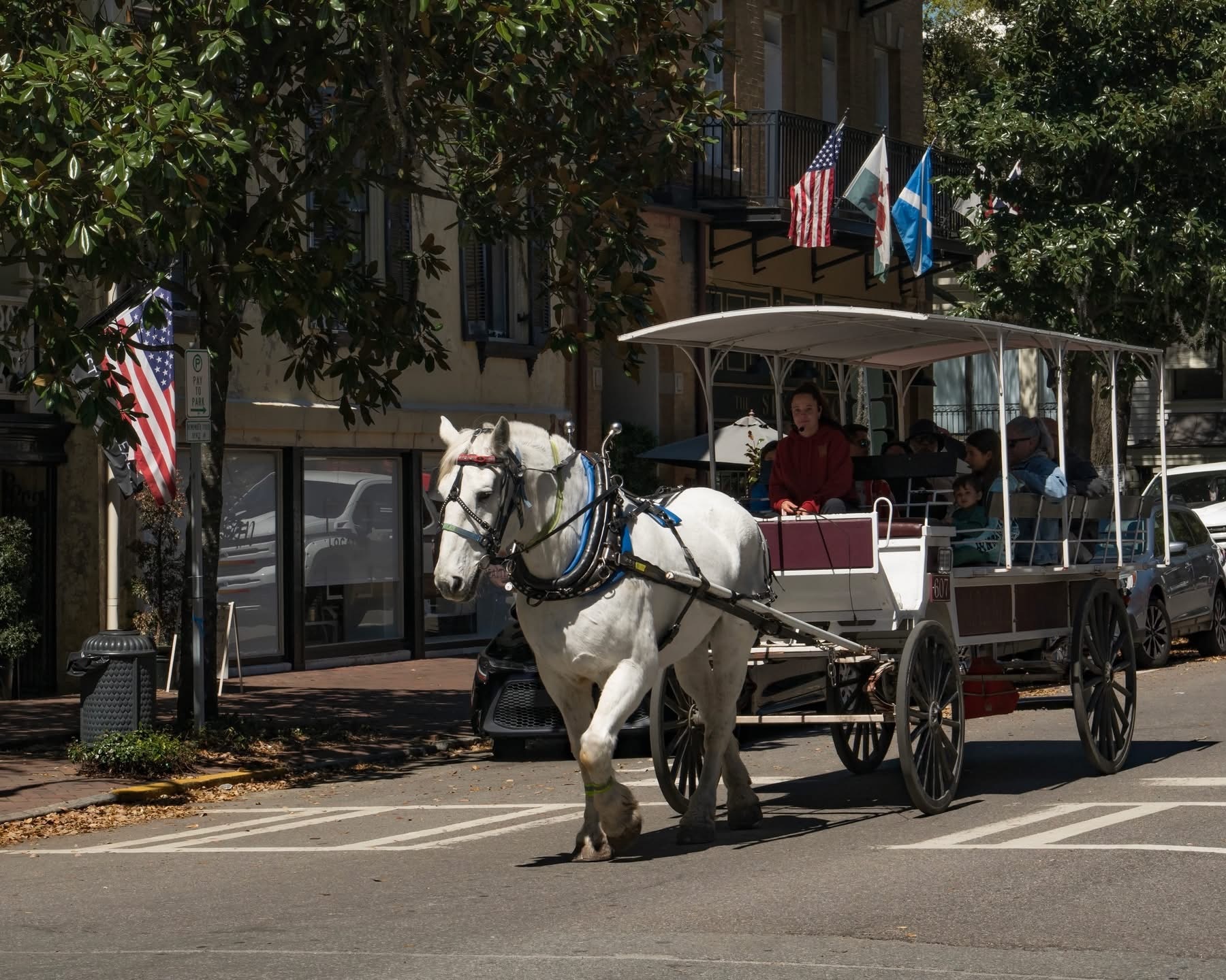 Carriage Tours of Savannah.